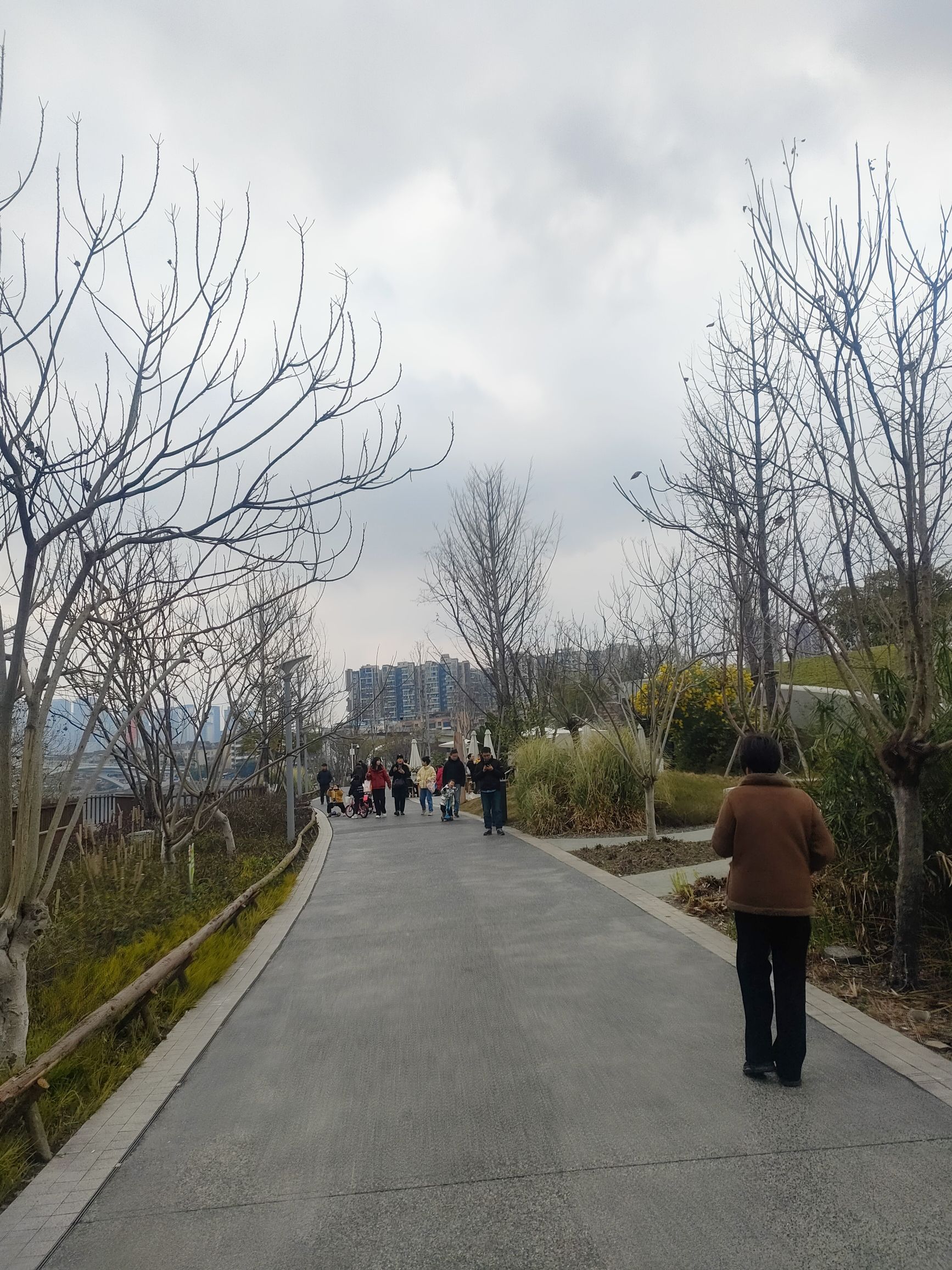 芙蓉岛公园旅行图片 3