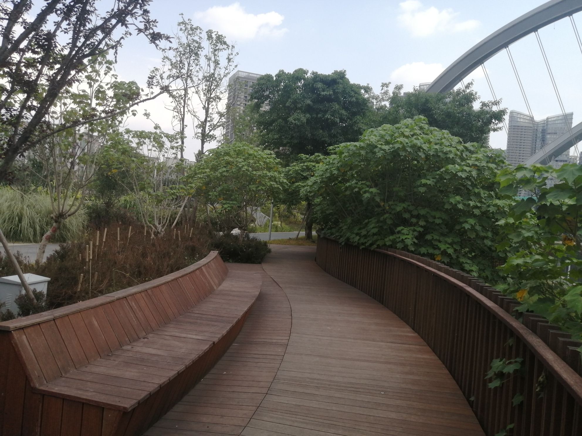 芙蓉岛公园旅行图片 3
