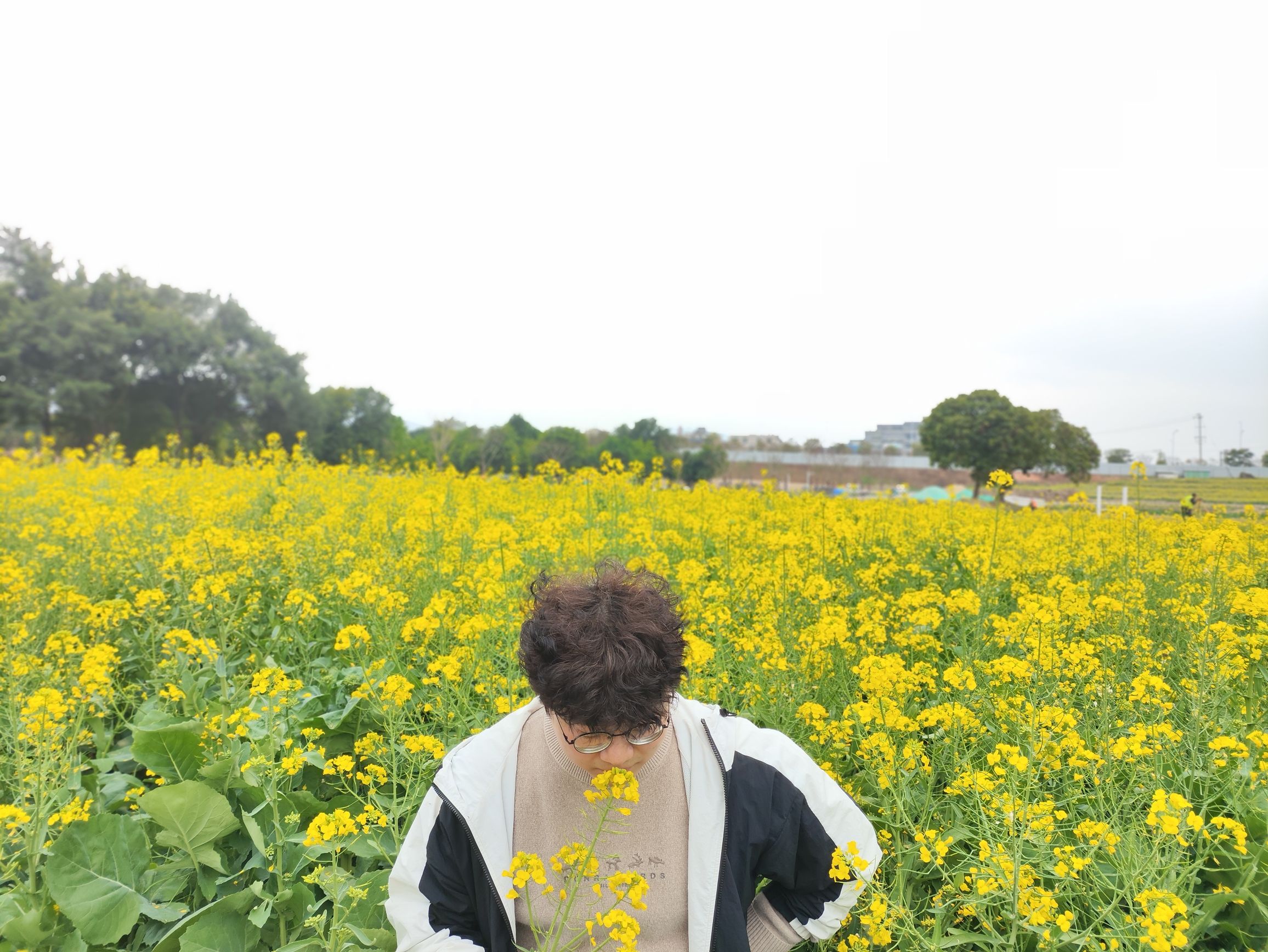当山宫旅行图片 3