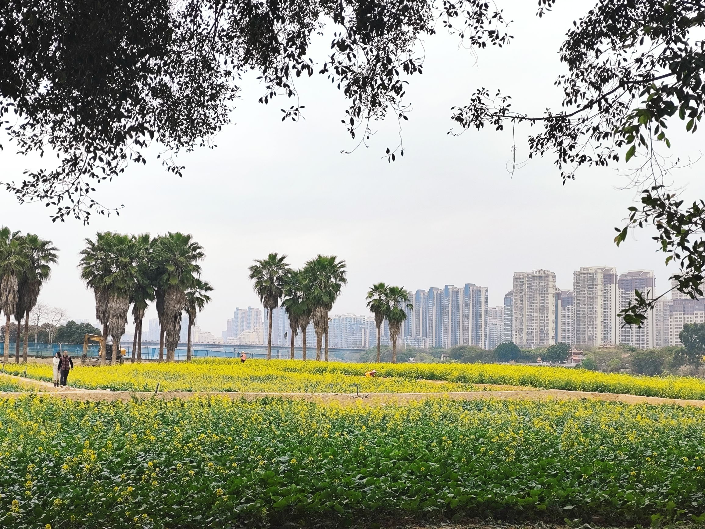 当山宫旅行图片 2