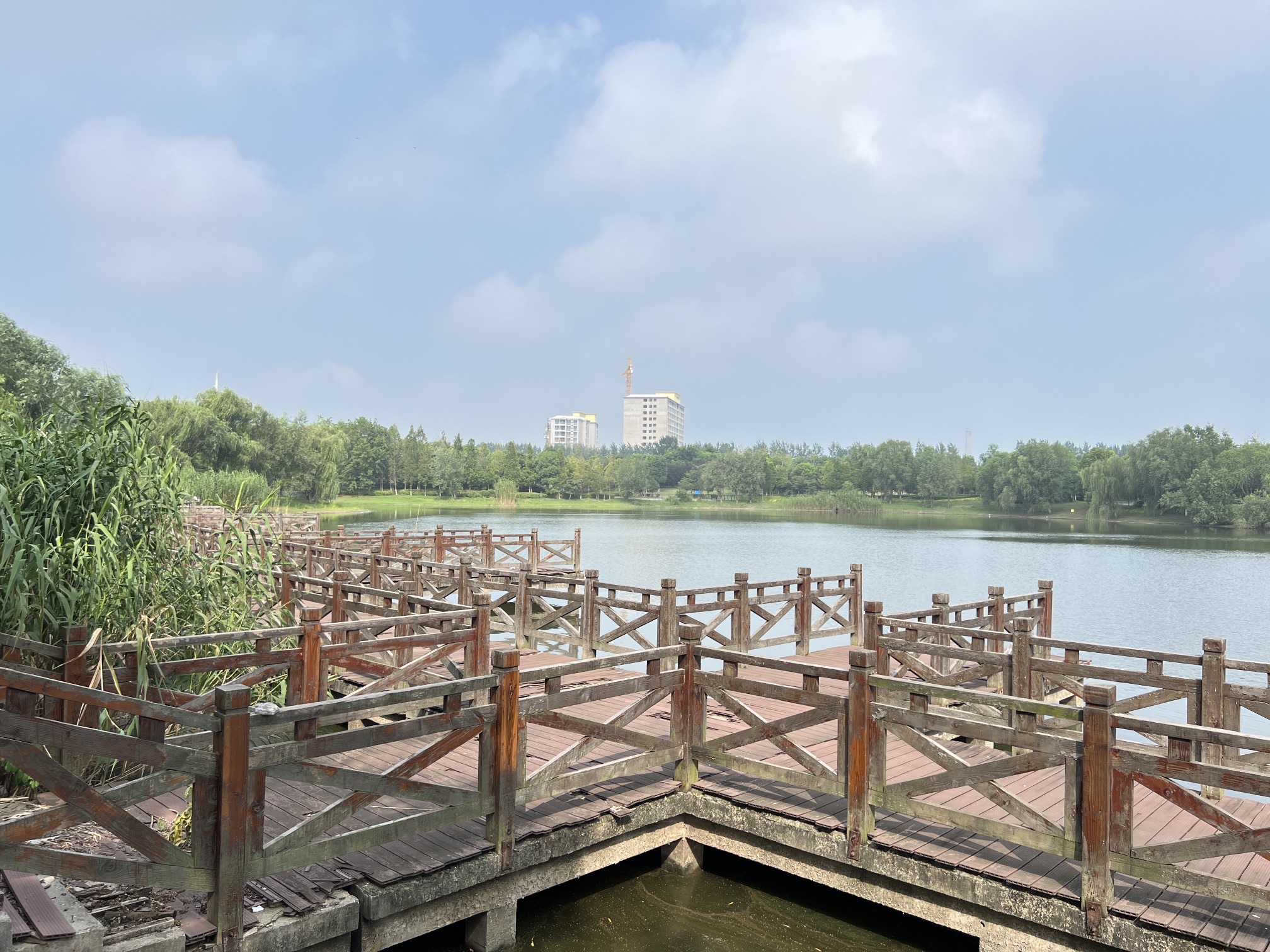 天门山公园旅行图片 3