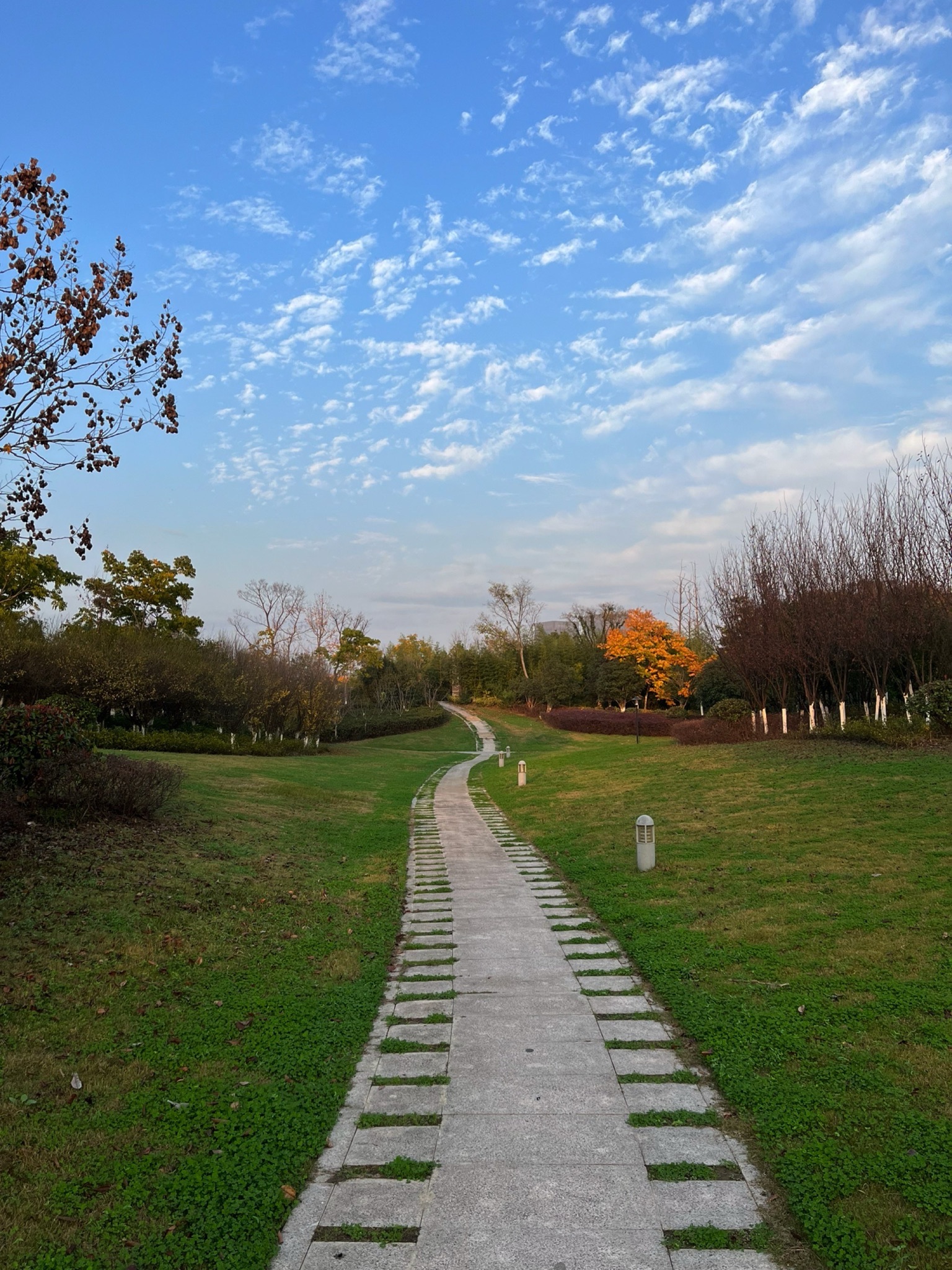 天门山公园旅行图片 1