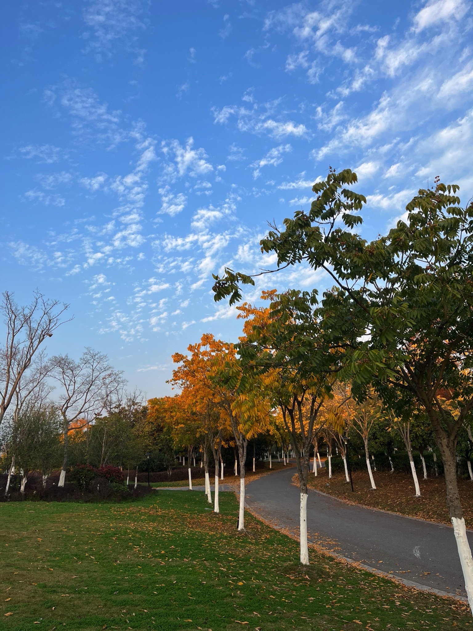 天门山公园旅行图片 2