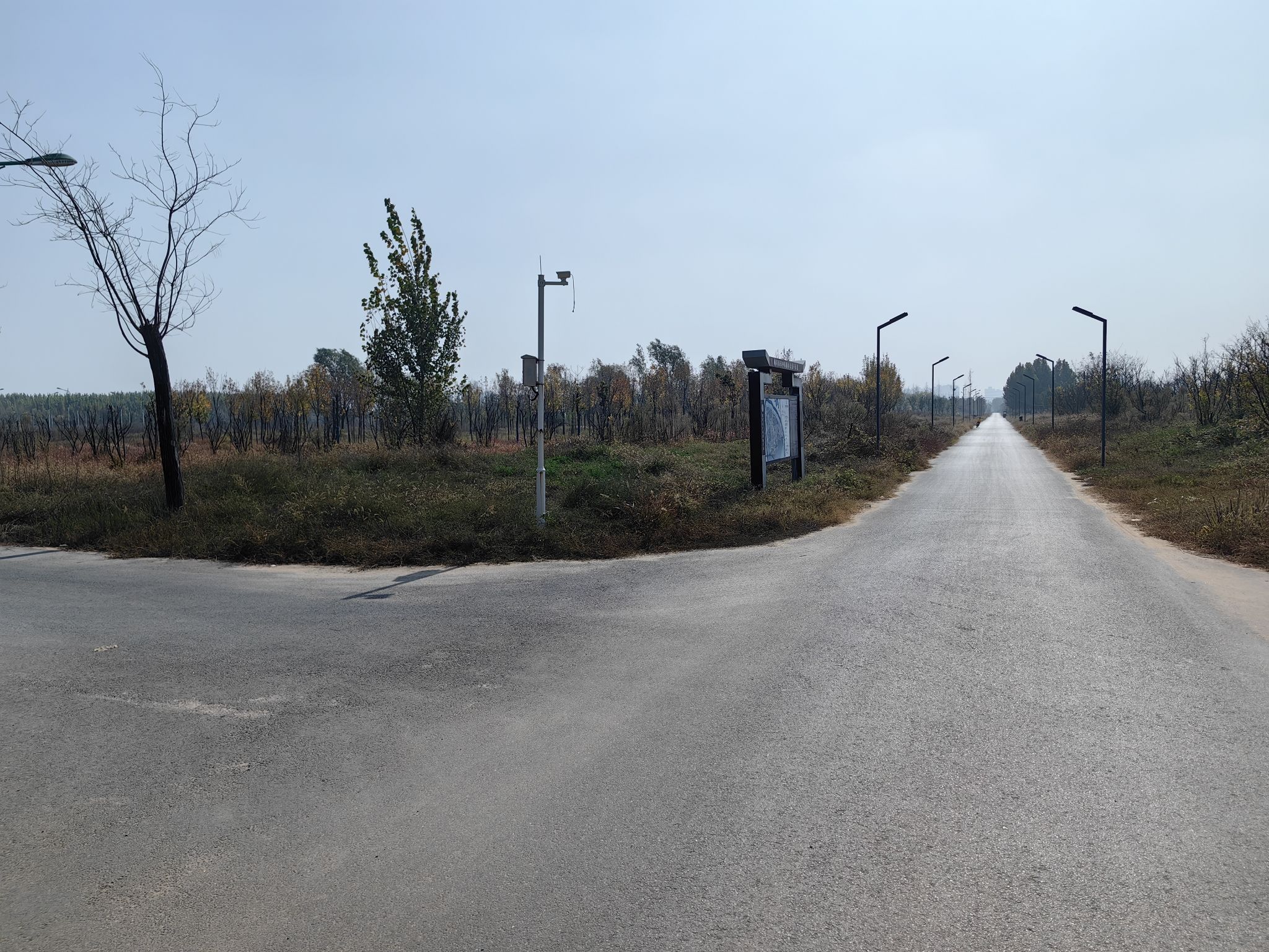 中牟森林公园旅行图片 2