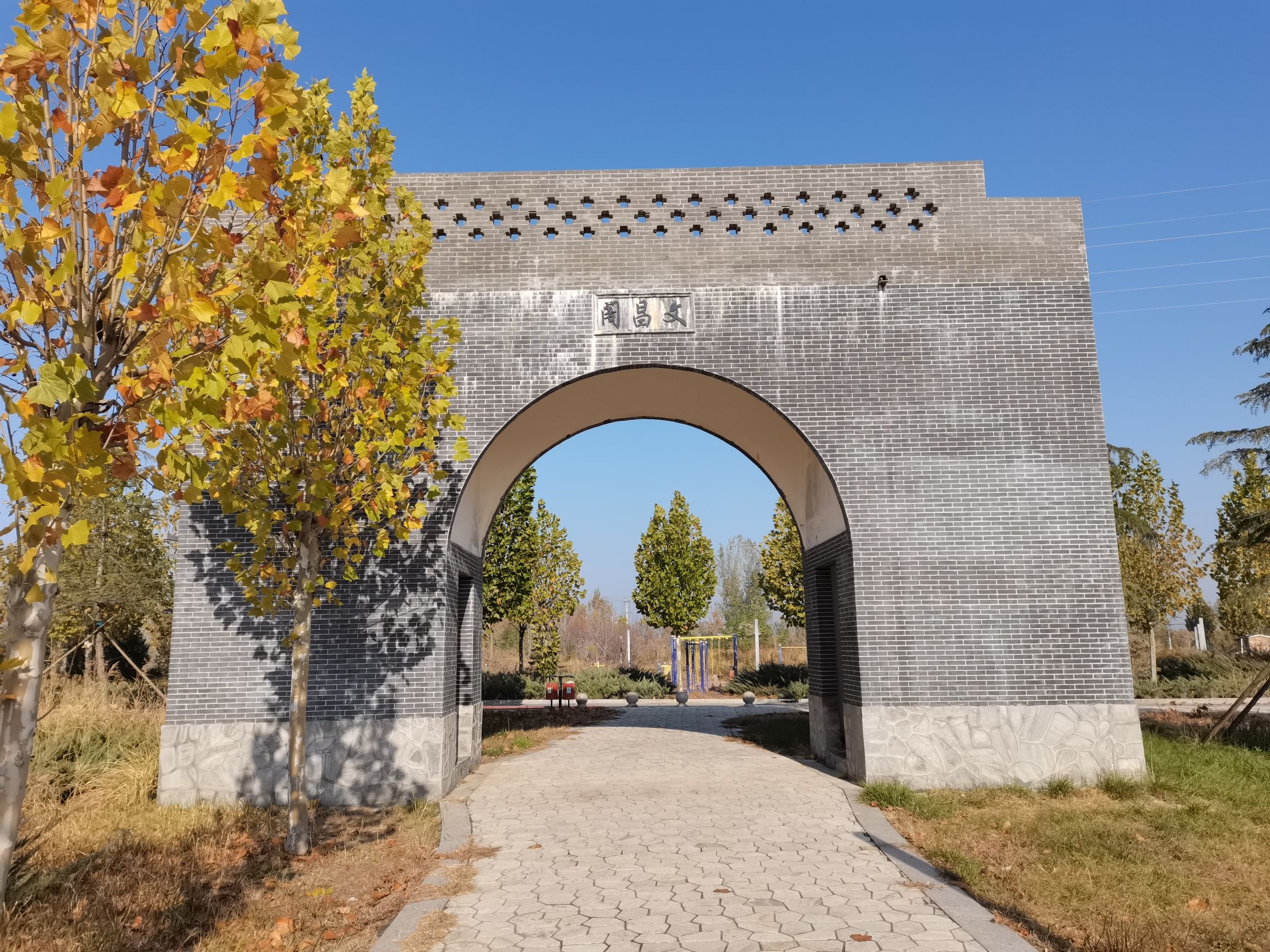 大沙河森林公园旅行图片 3