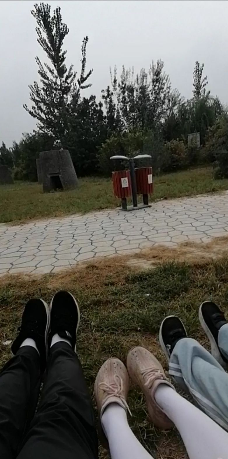 大沙河森林公园旅行图片 3