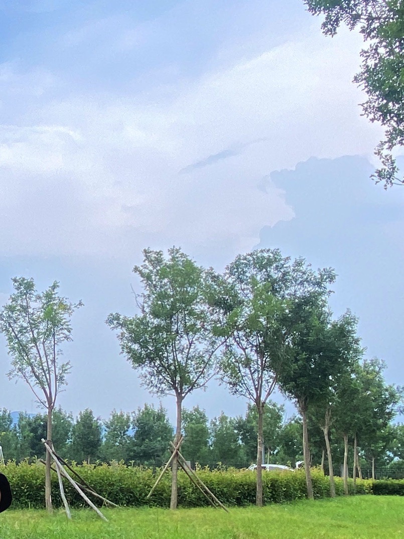 东郭运动公园旅行图片 3