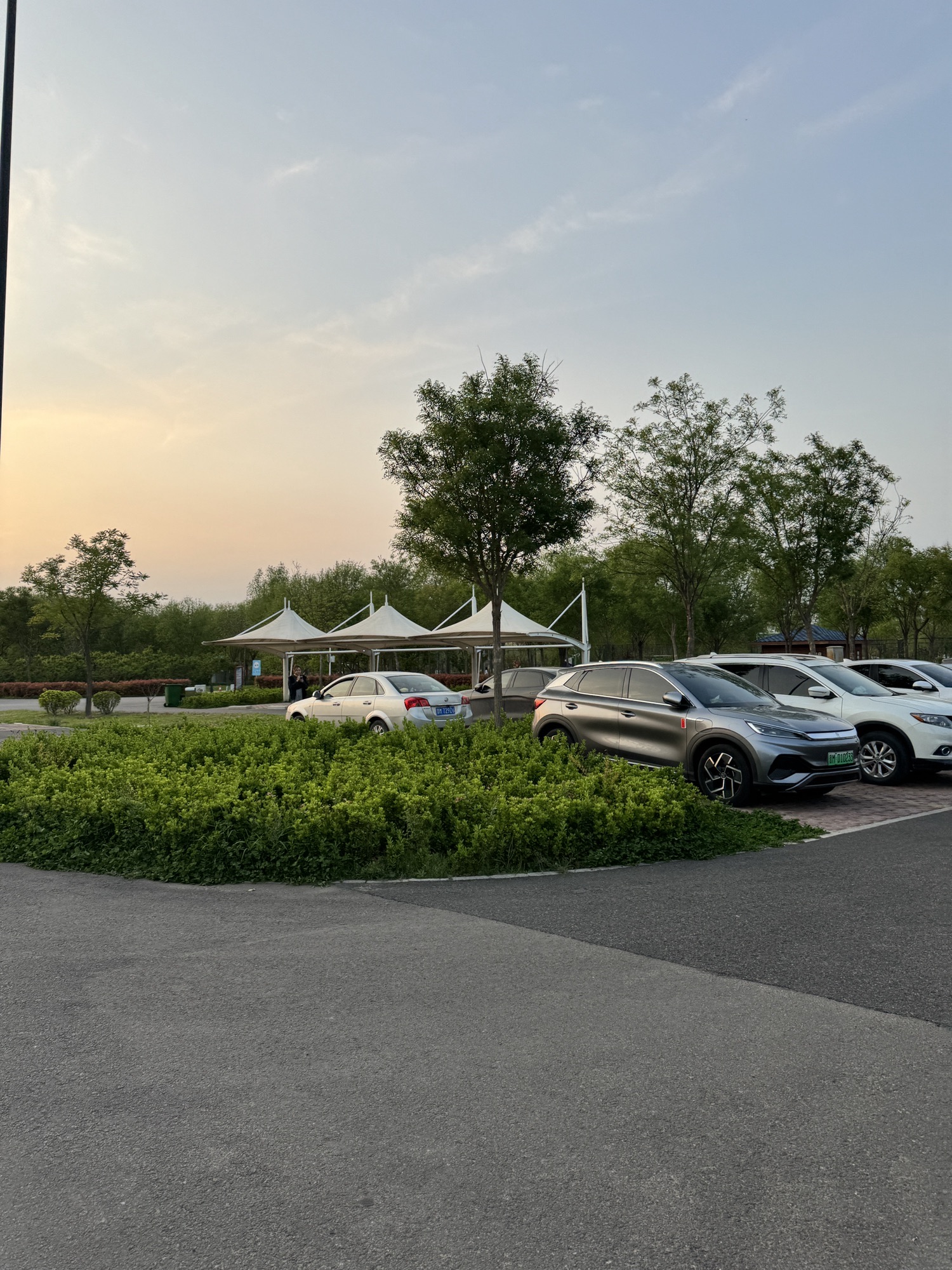 东郭运动公园旅行图片 3