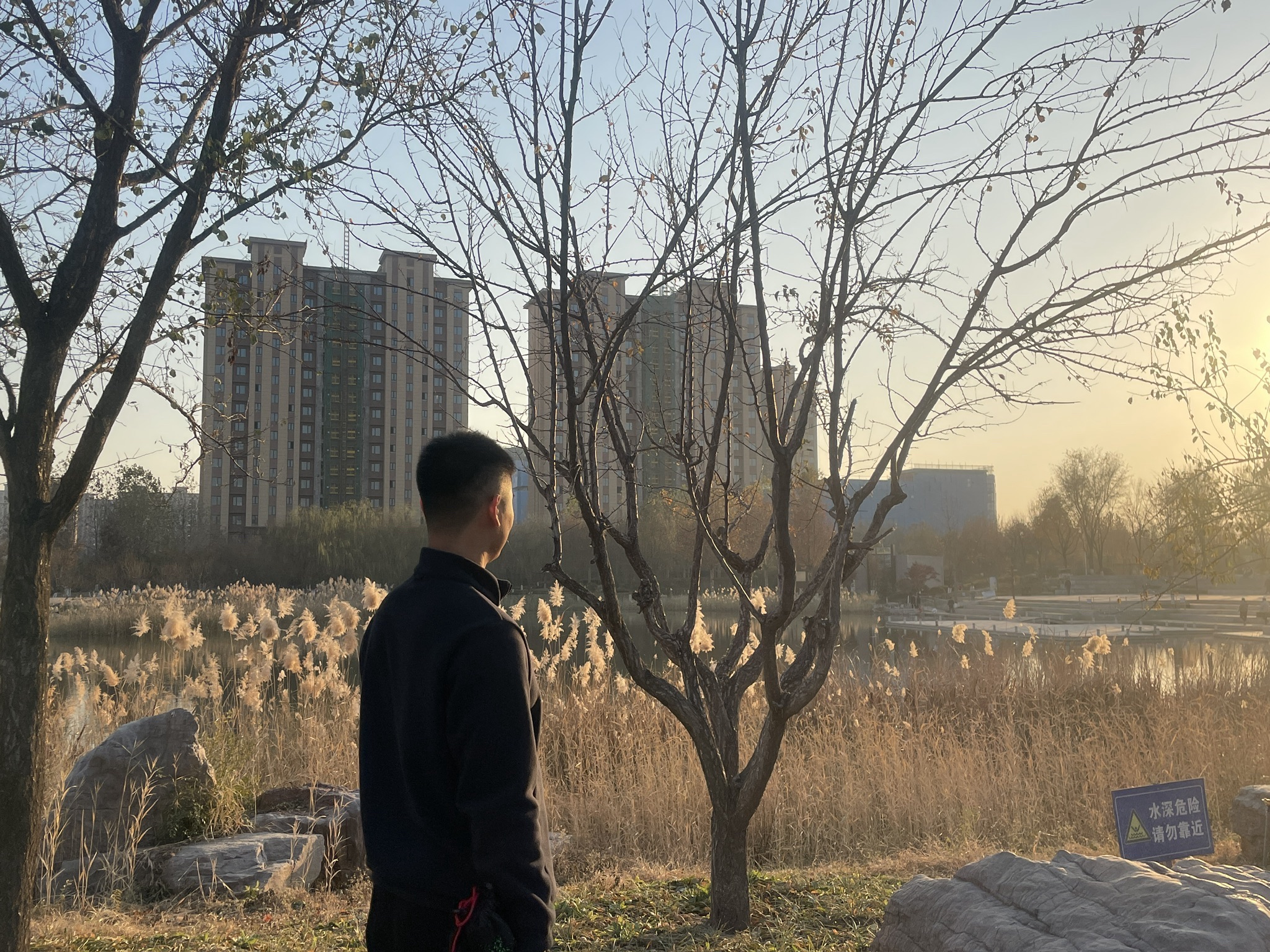 龙星公园旅行图片 3