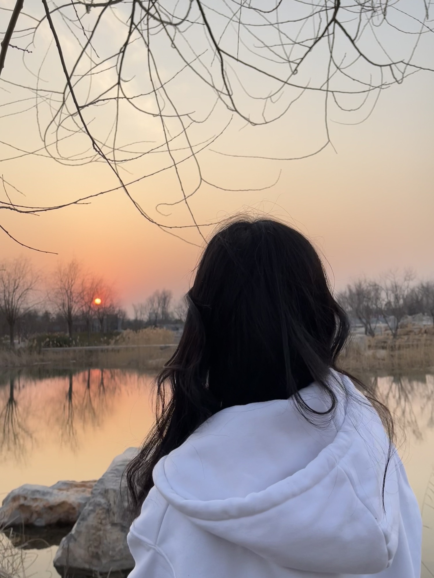 龙星公园旅行图片 2