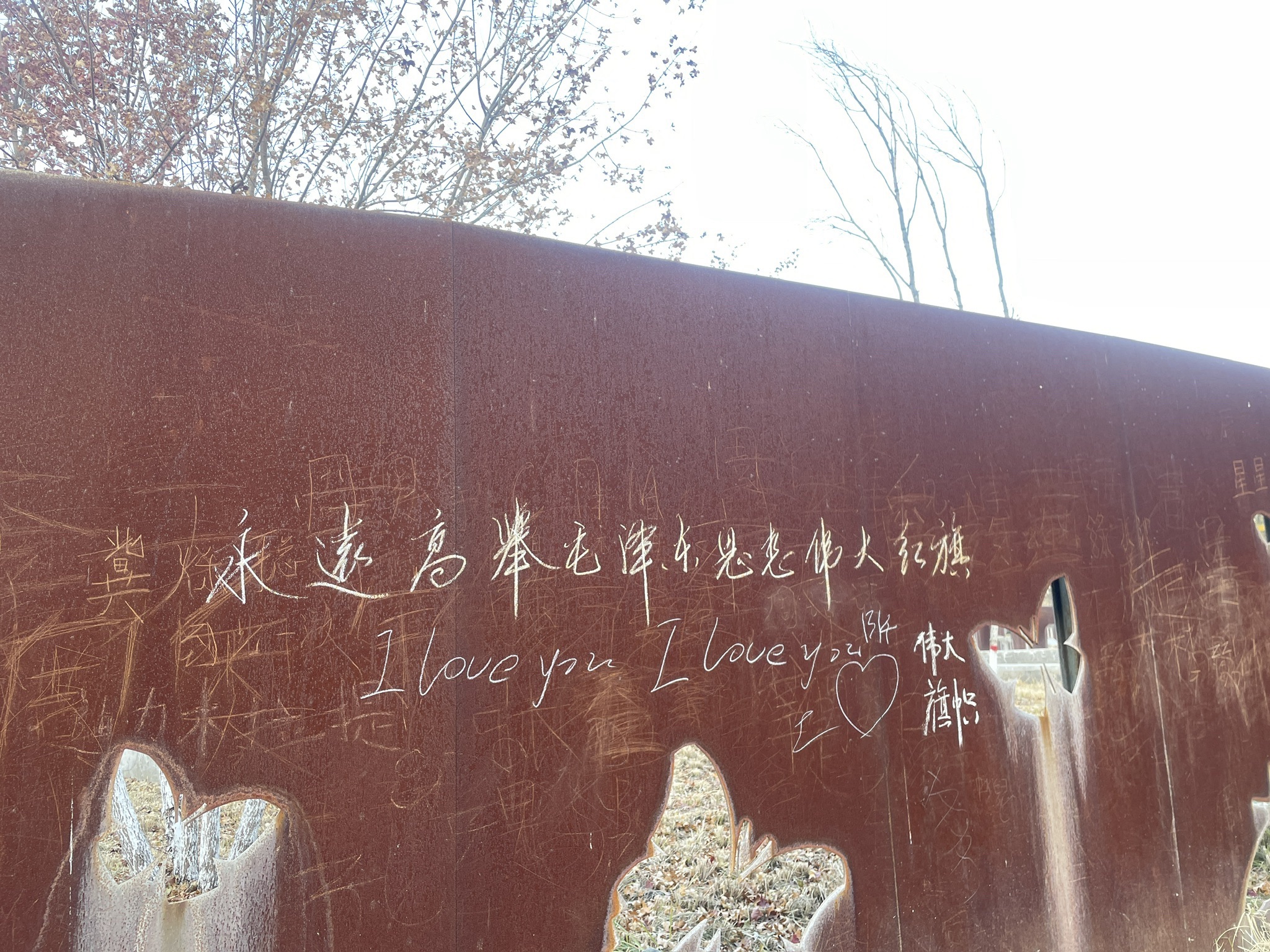 龙星公园旅行图片 2