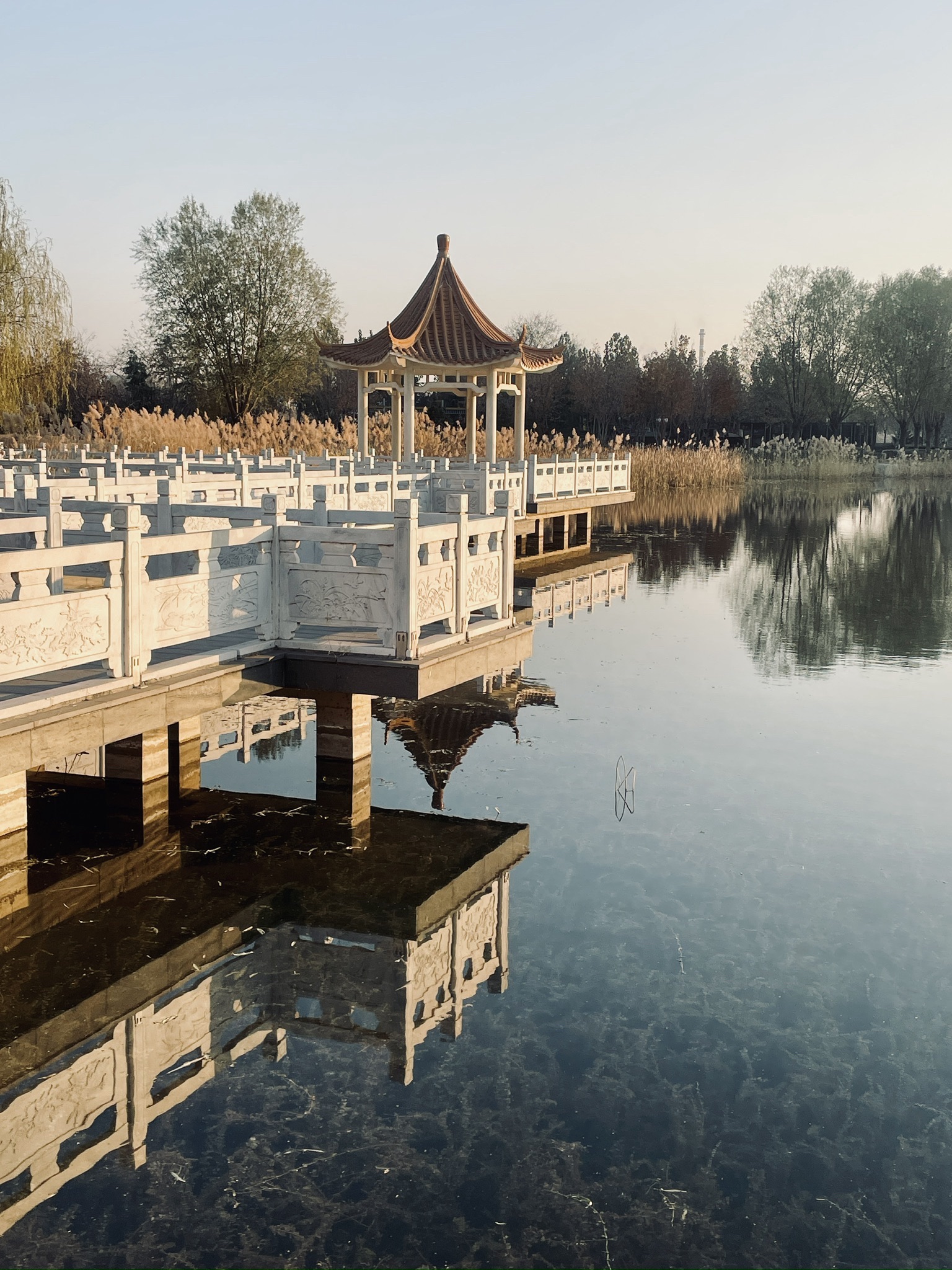 龙星公园旅行图片 1