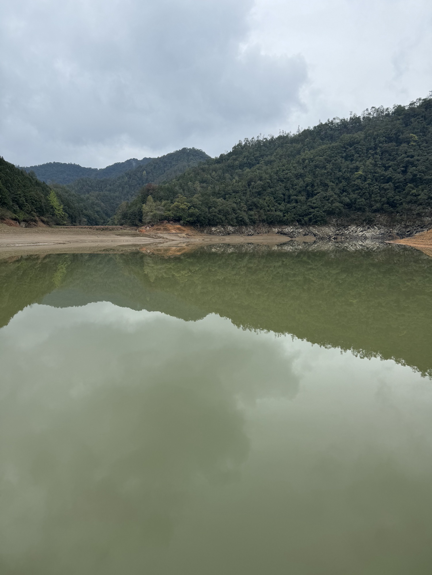阳明湖湿地公园旅行图片 2