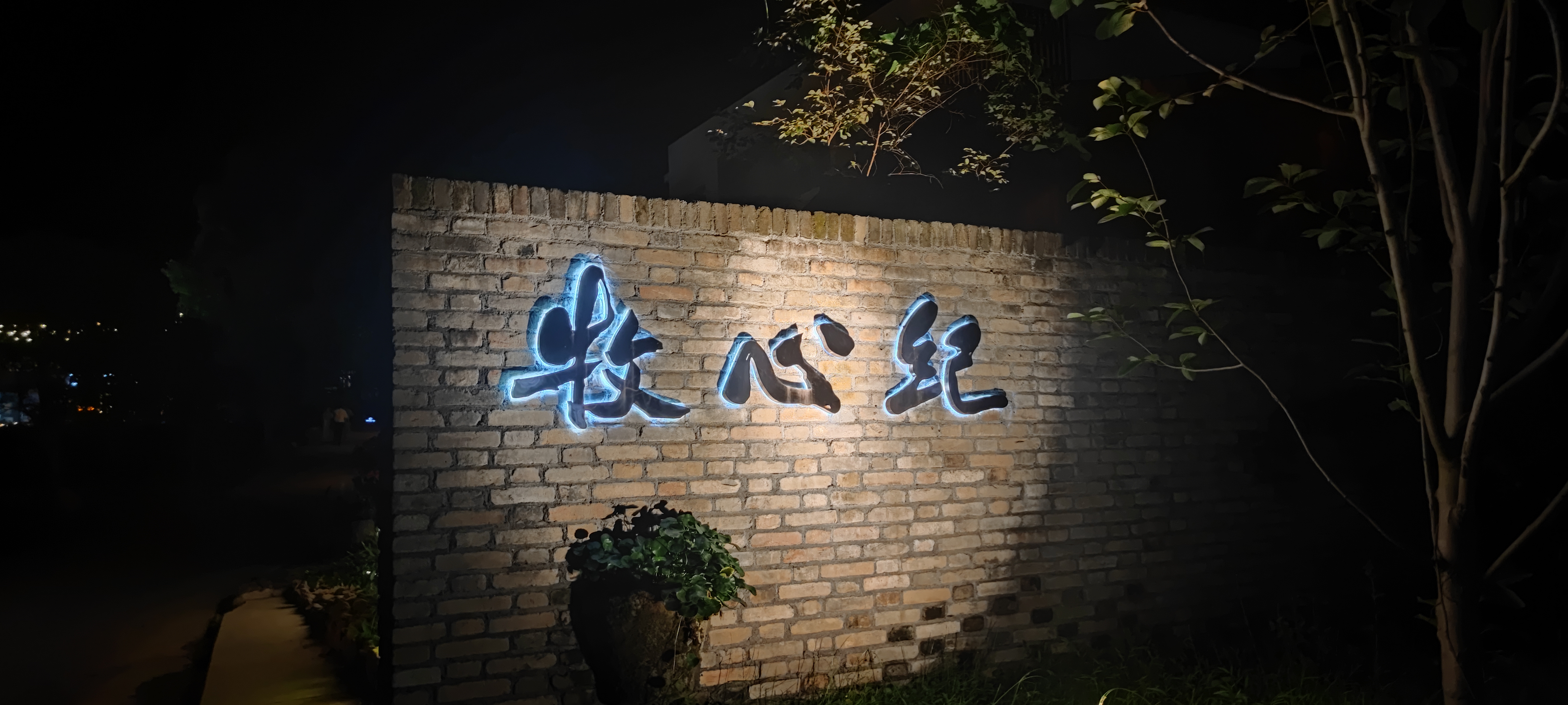 阳明湖湿地公园旅行图片 3