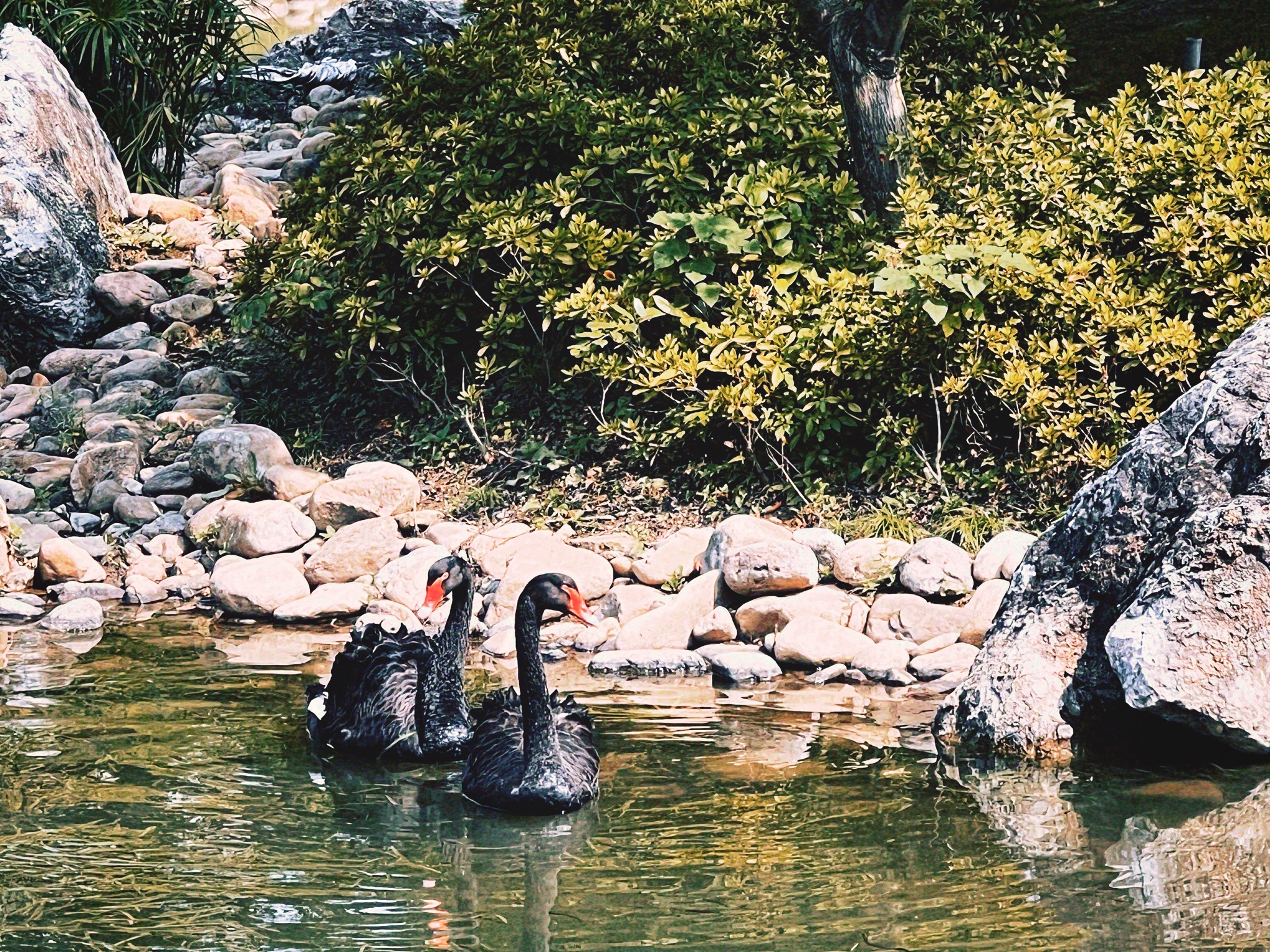 彭浦四季公园旅行图片 3