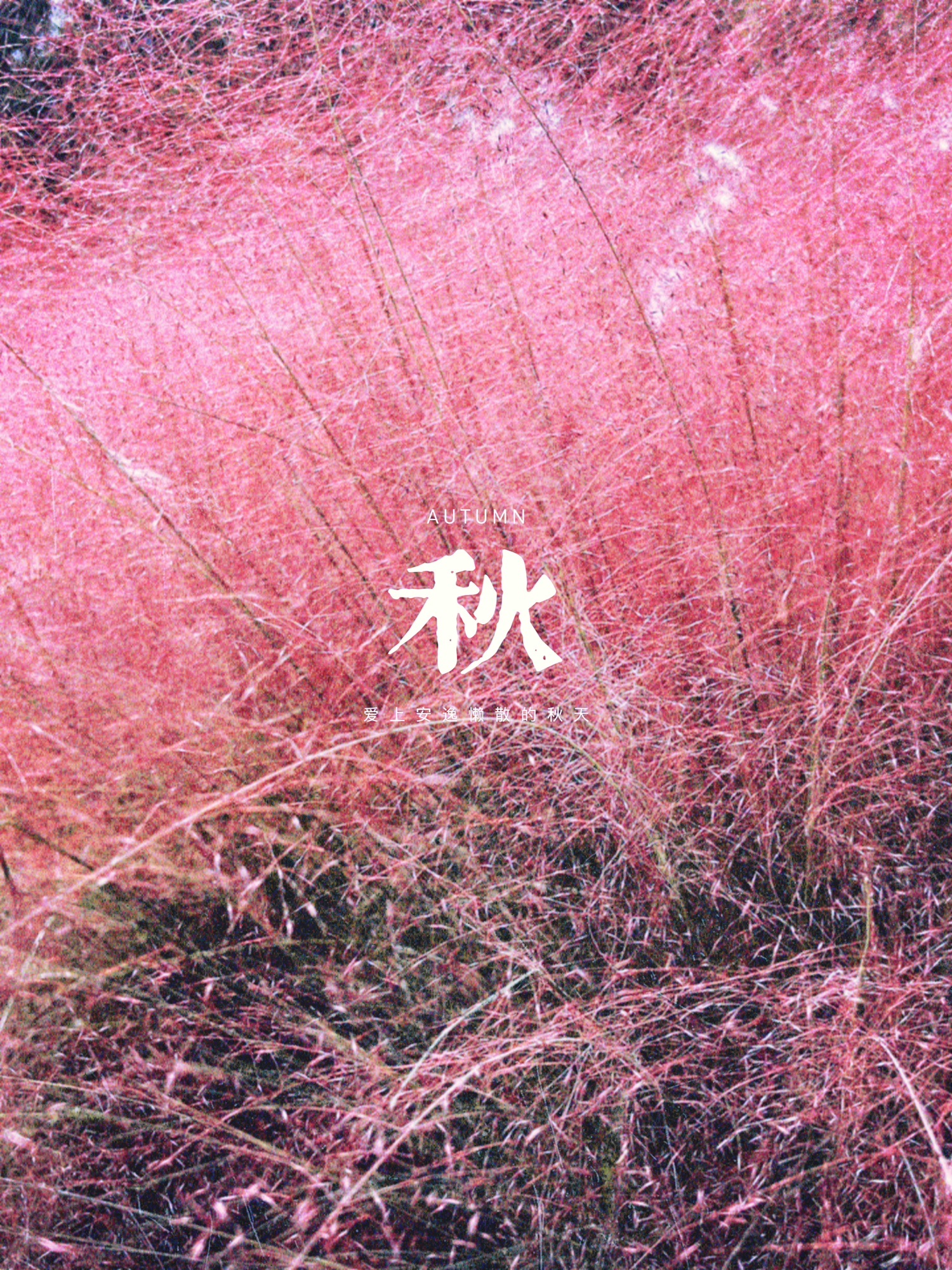 彭浦四季公园旅行图片 2