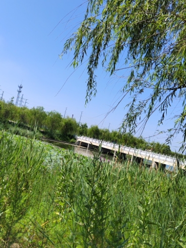 农安生态龙湖公园