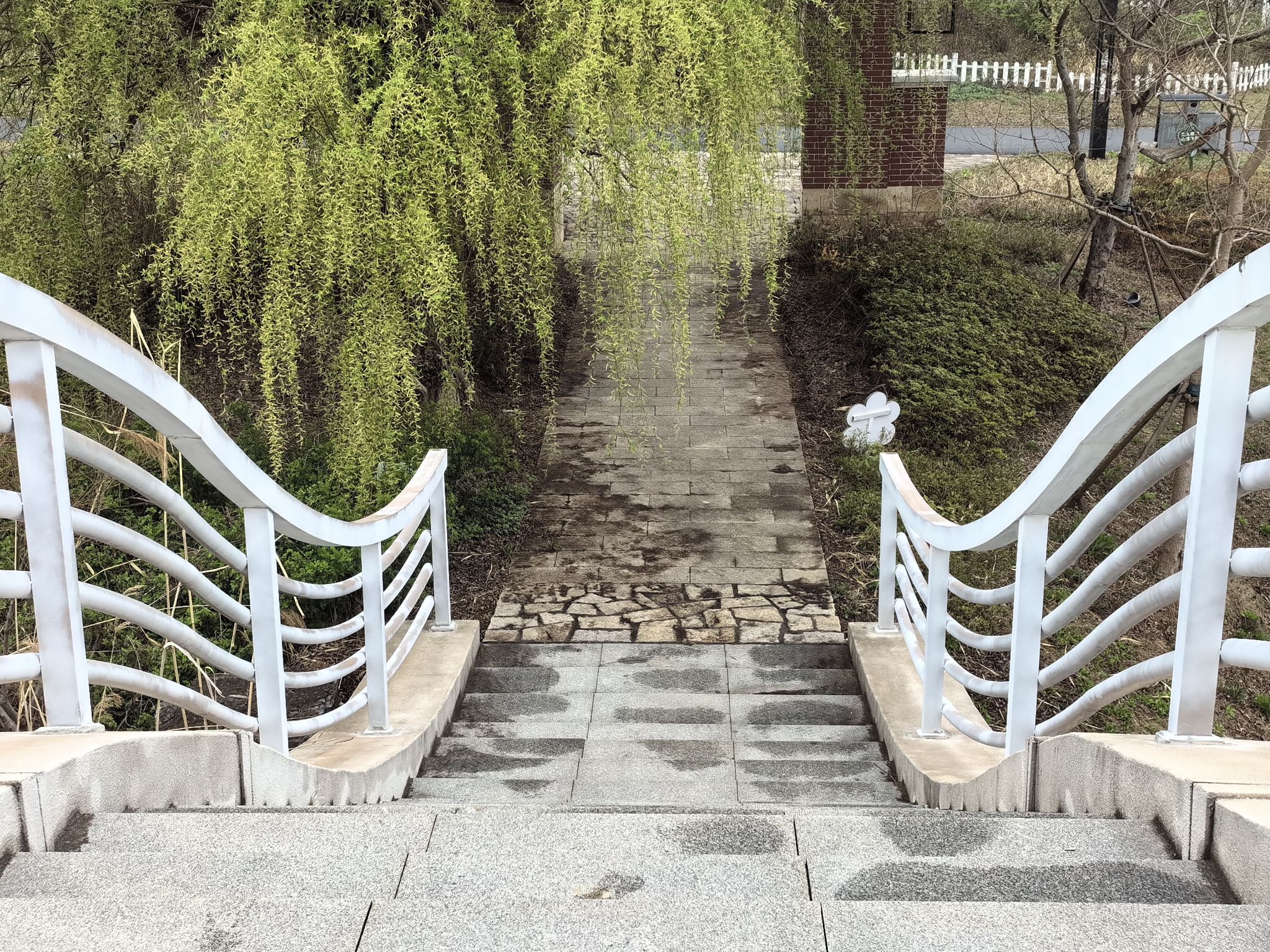 仙境花海旅行图片 2
