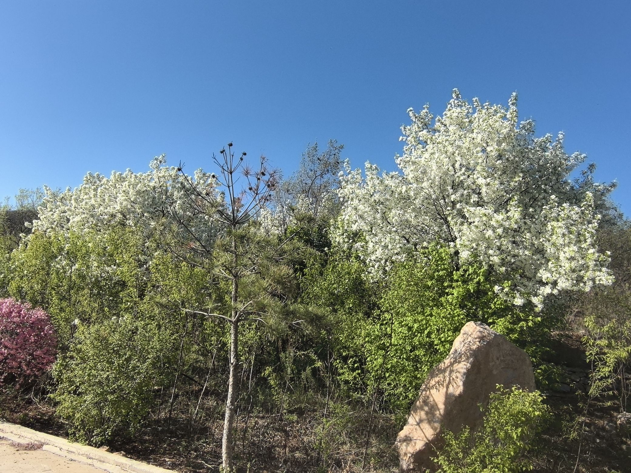 老虎沟生态景区(暂停开放)旅行图片 3
