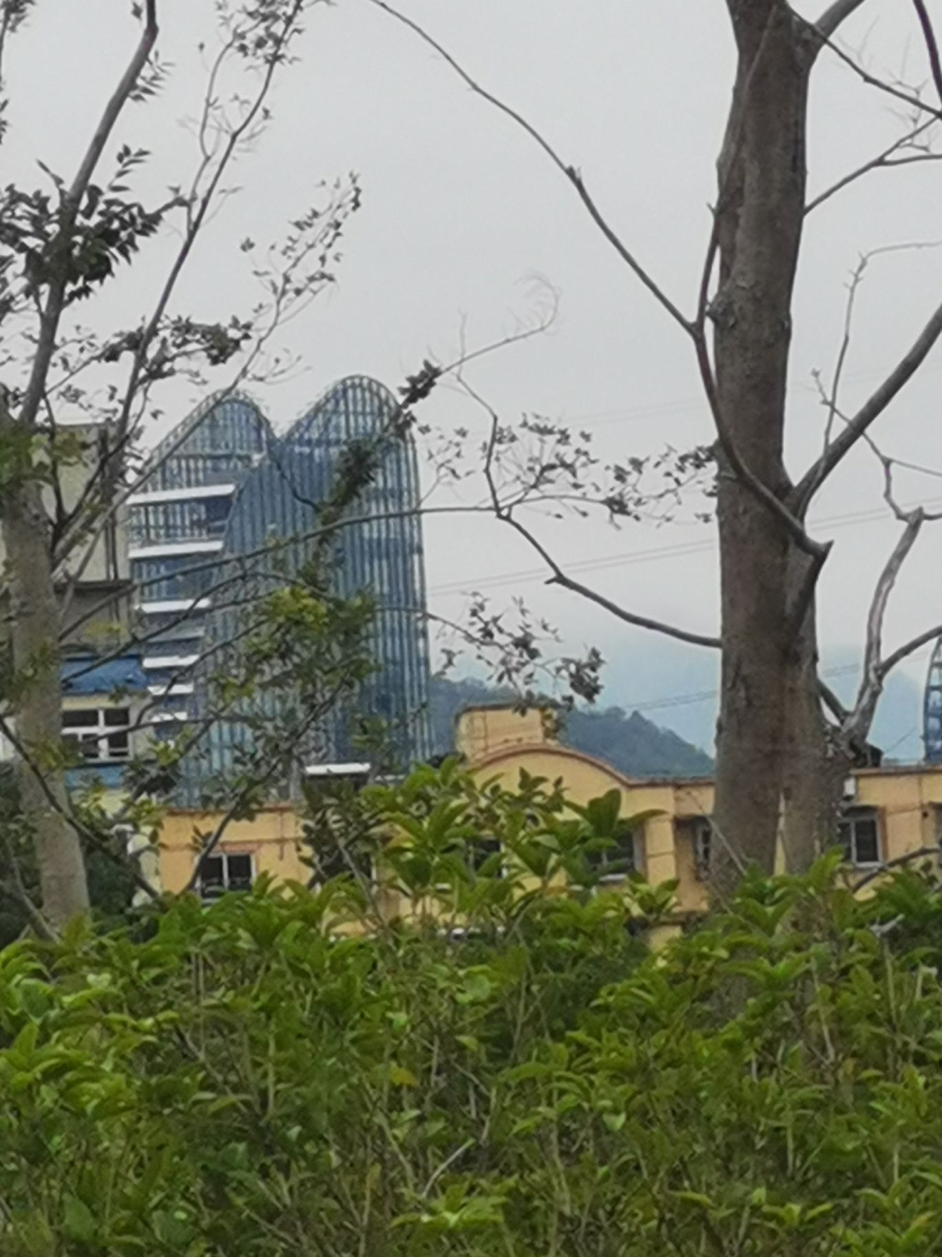 丽水体育公园旅行图片 2