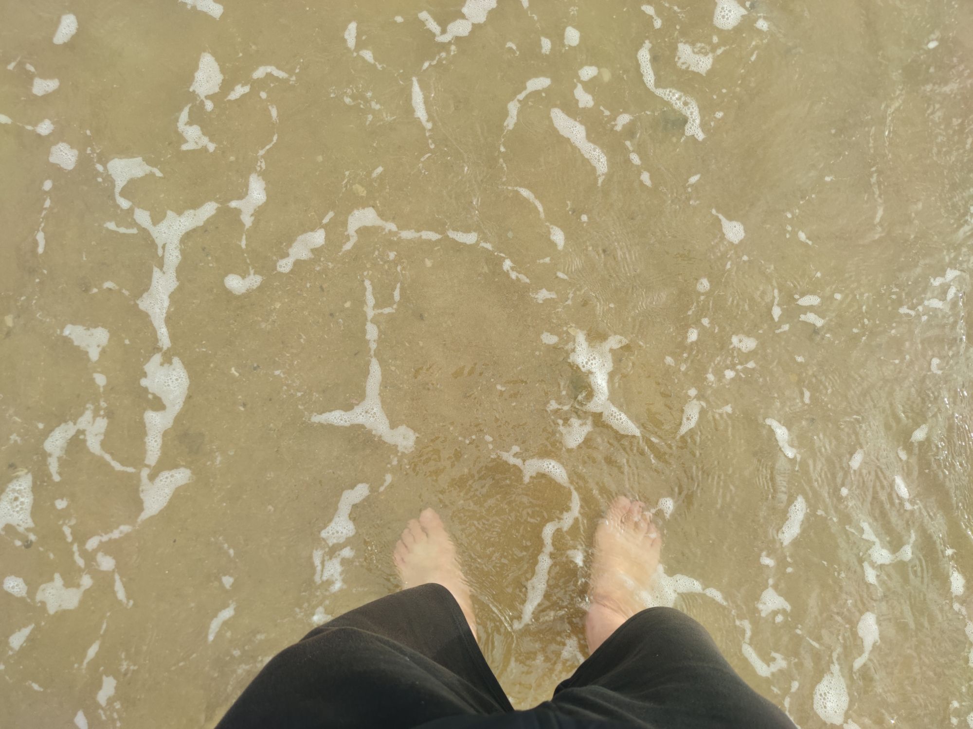 蓝眼泪观景点(流水镇后田村海滩)旅行图片 2