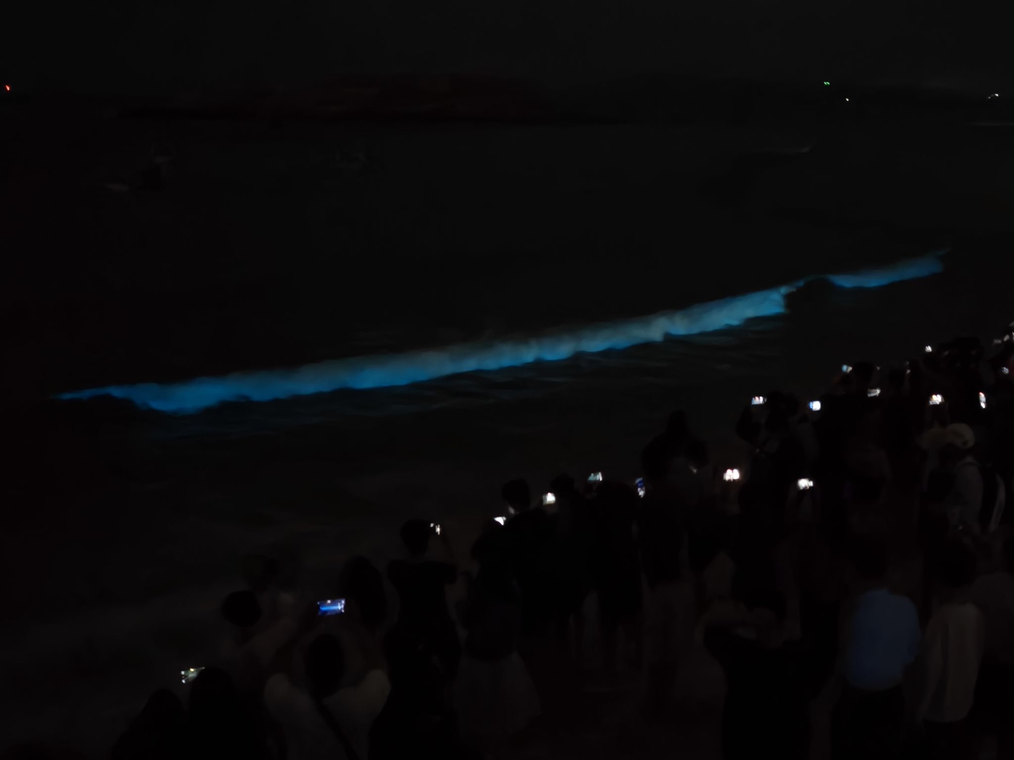 蓝眼泪观景点(流水镇后田村海滩)旅行图片 1