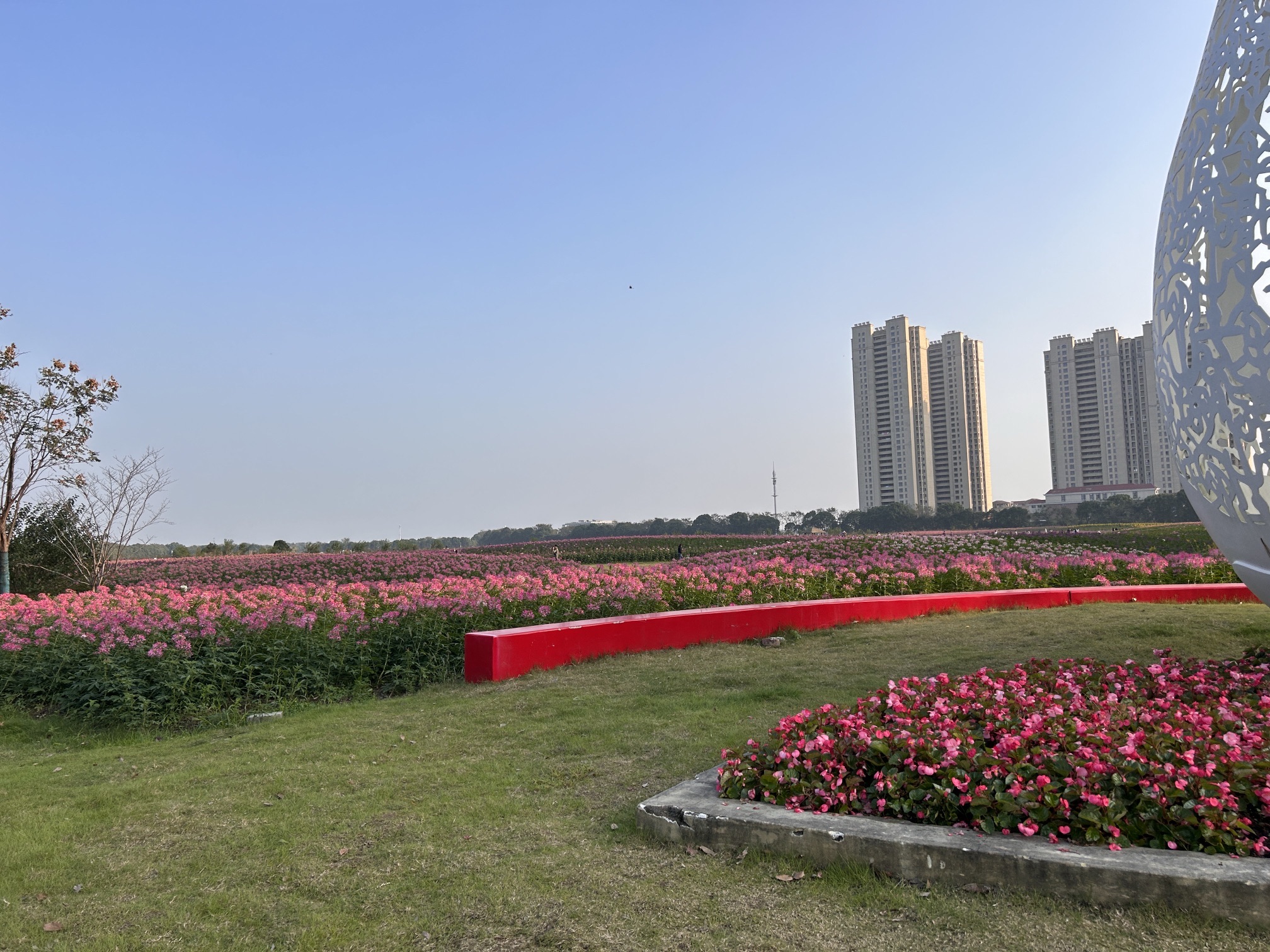 宛山湖西路联福路花海旅行图片 3