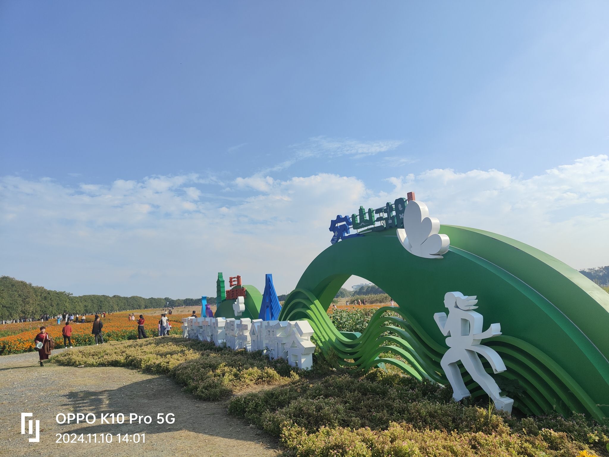 宛山湖西路联福路花海旅行图片 1