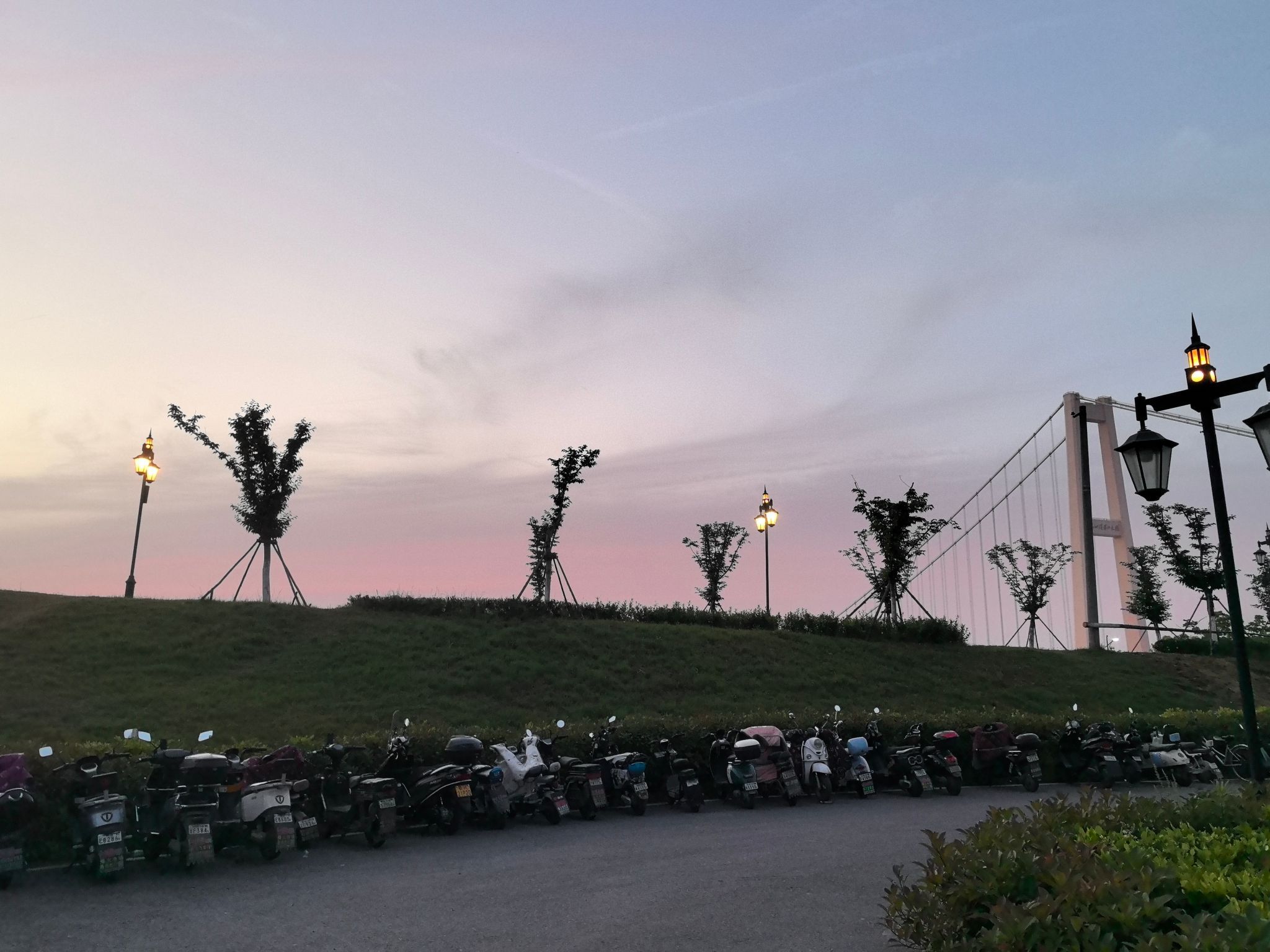 杨泗港大桥南岸桥头公园旅行图片 2