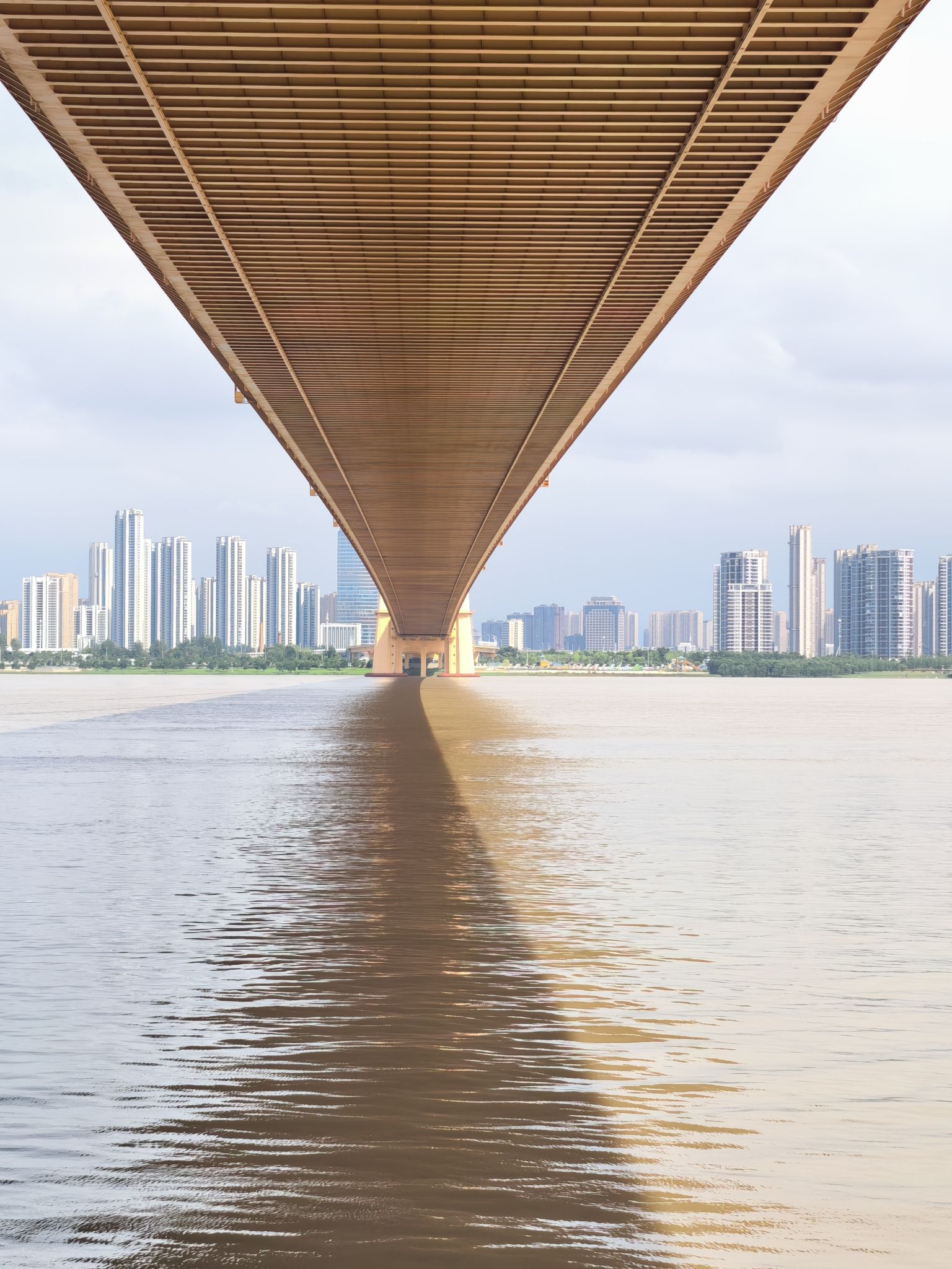 杨泗港大桥南岸桥头公园