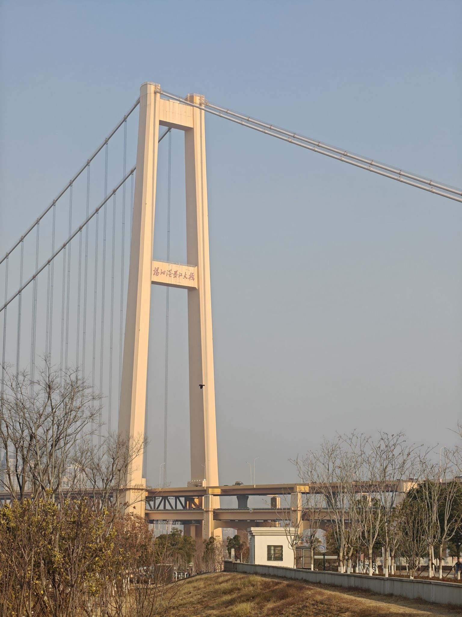杨泗港大桥南岸桥头公园旅行图片 2