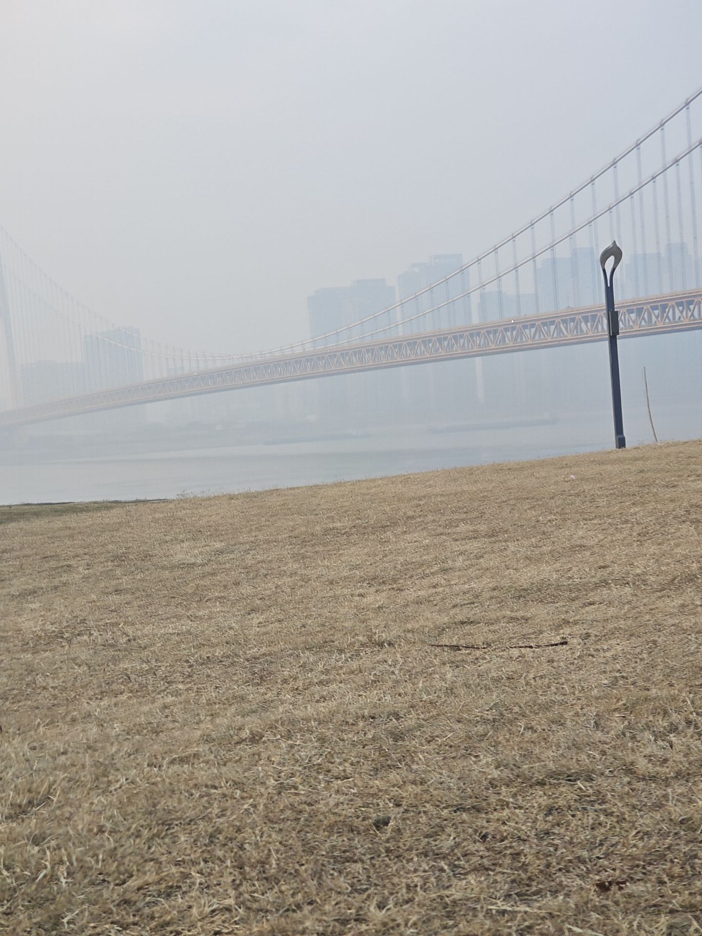 杨泗港大桥南岸桥头公园旅行图片 1