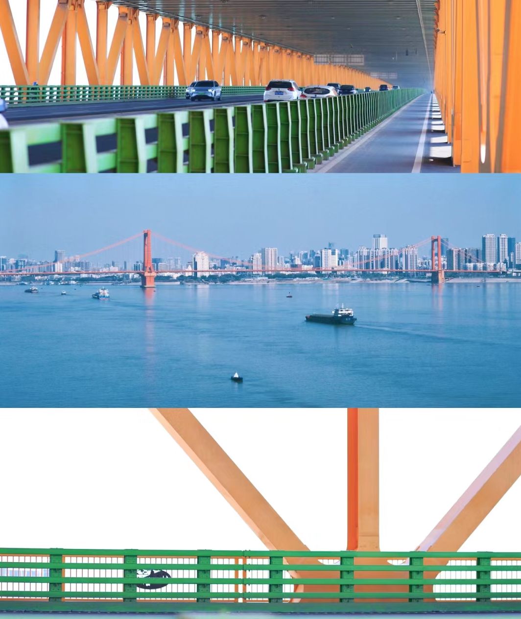 杨泗港大桥南岸桥头公园旅行图片 2