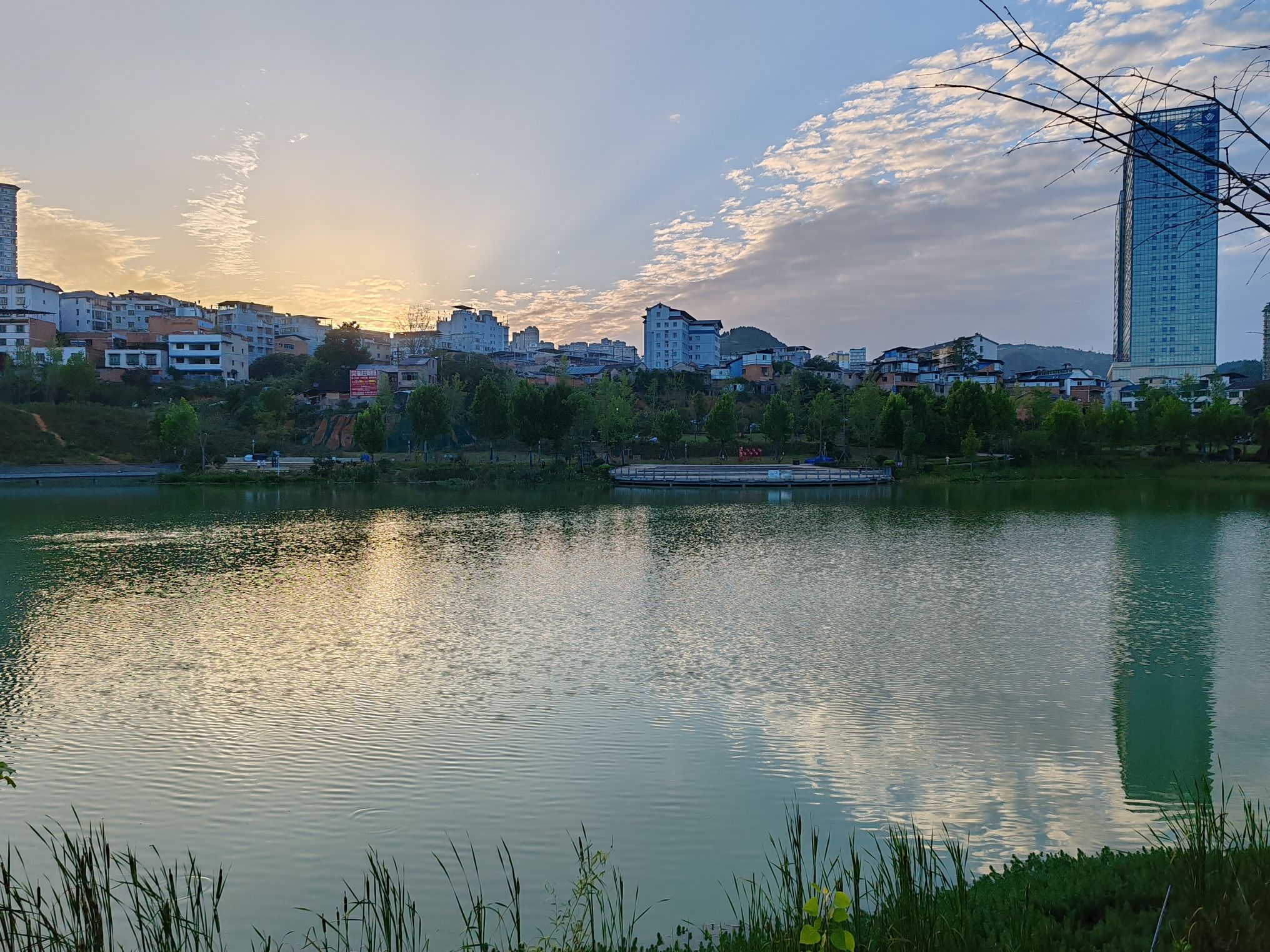 东湖湿地公园