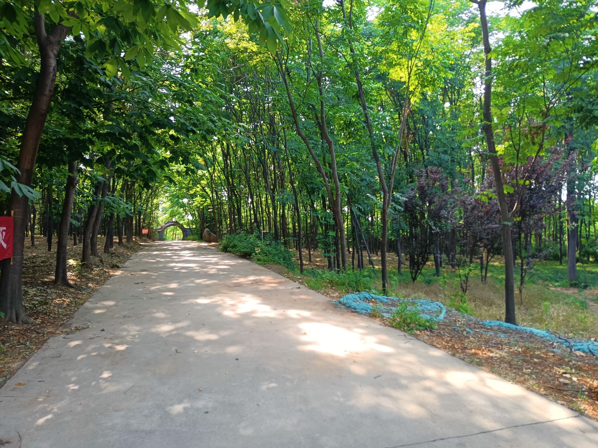 休闲广场旅行图片 3