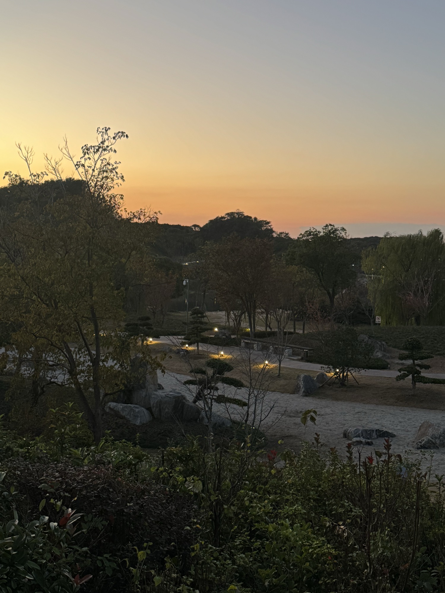 鸷山桃花源旅行图片 3