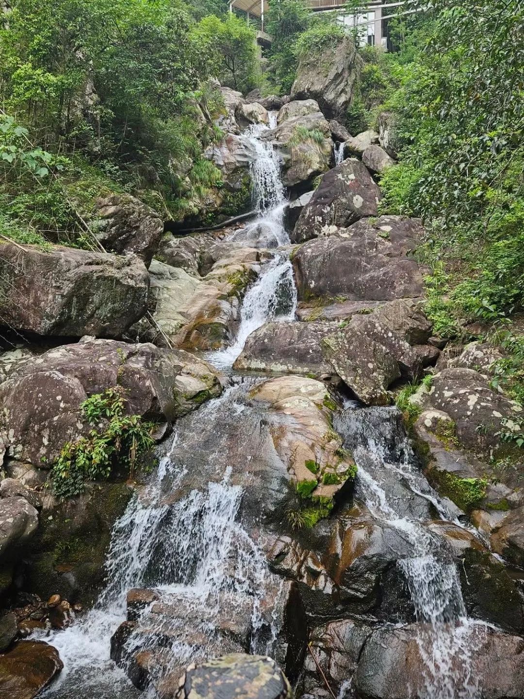 三爪仑国家森林公园旅行图片 1
