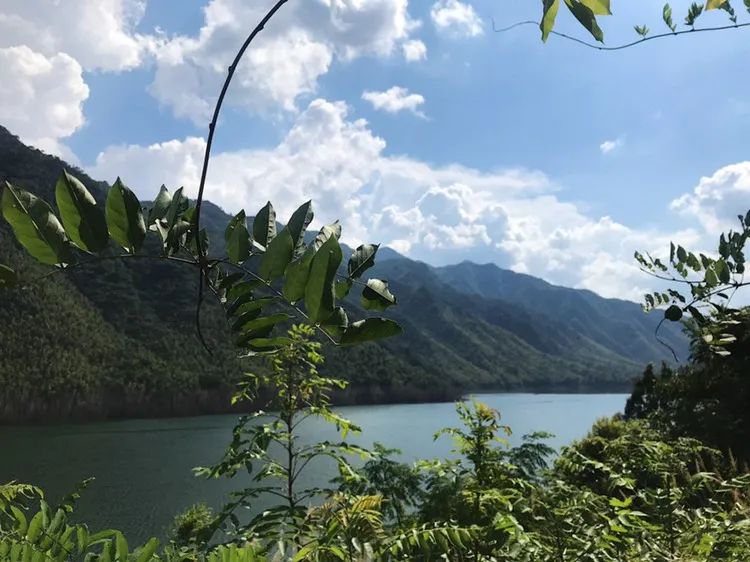 三爪仑国家森林公园旅行图片 3