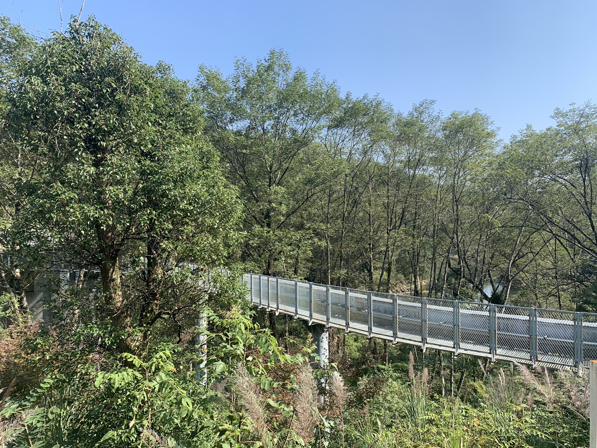 三爪仑国家森林公园旅行图片 1