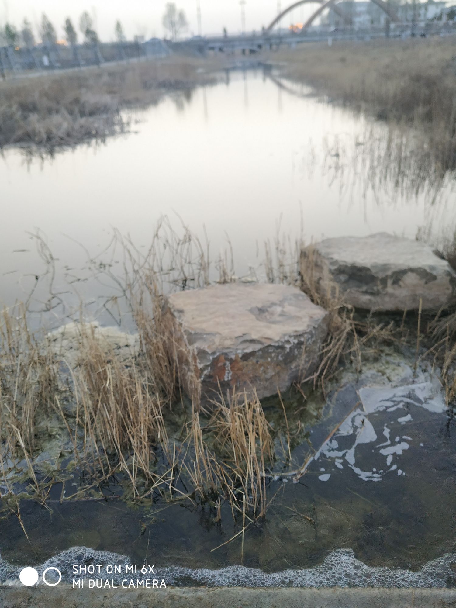 南河湾湿地公园旅行图片 2