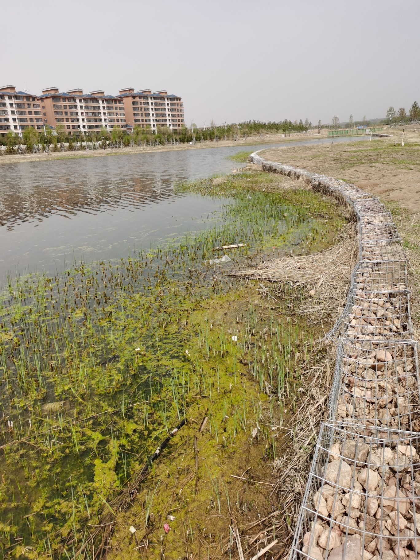 南河湾湿地公园旅行图片 2