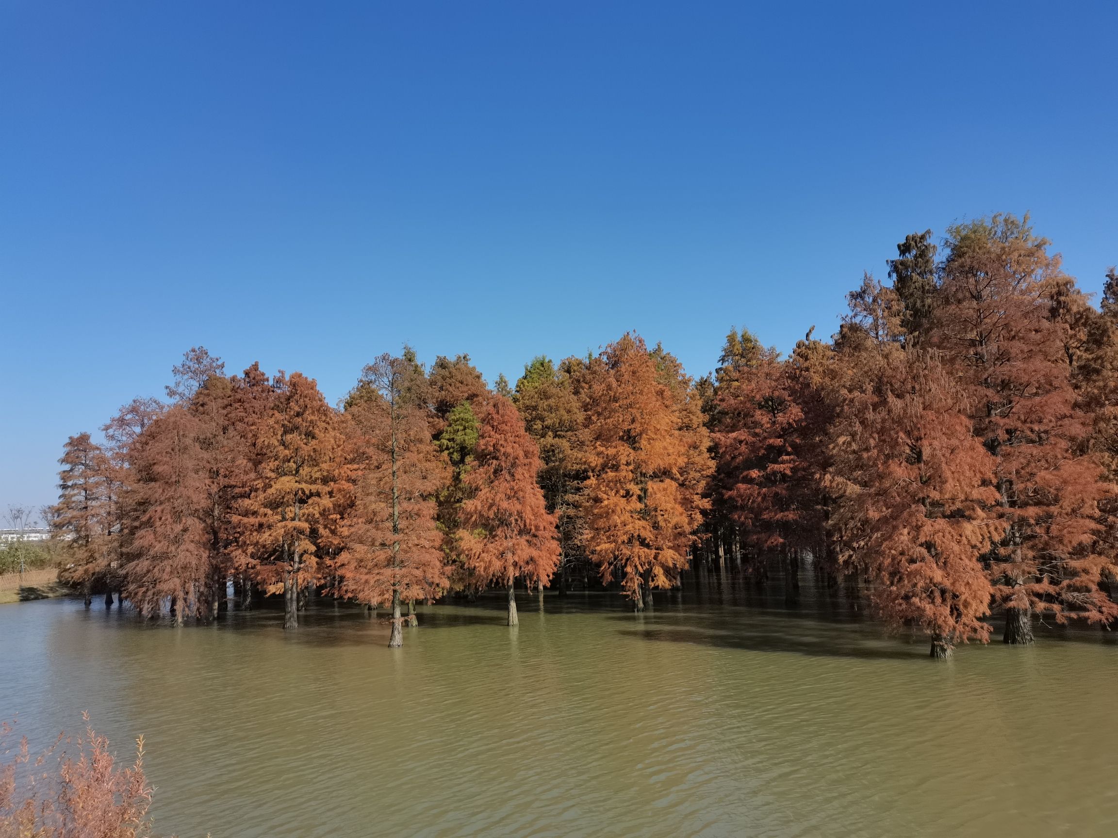 大汉塘旅行图片 1