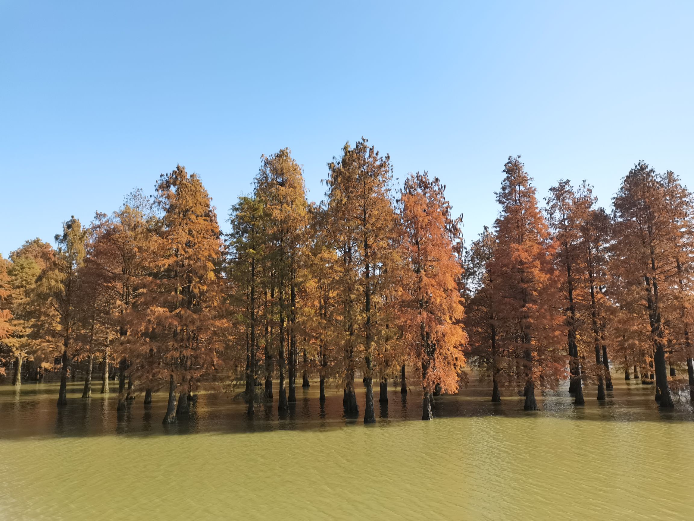 大汉塘旅行图片 3