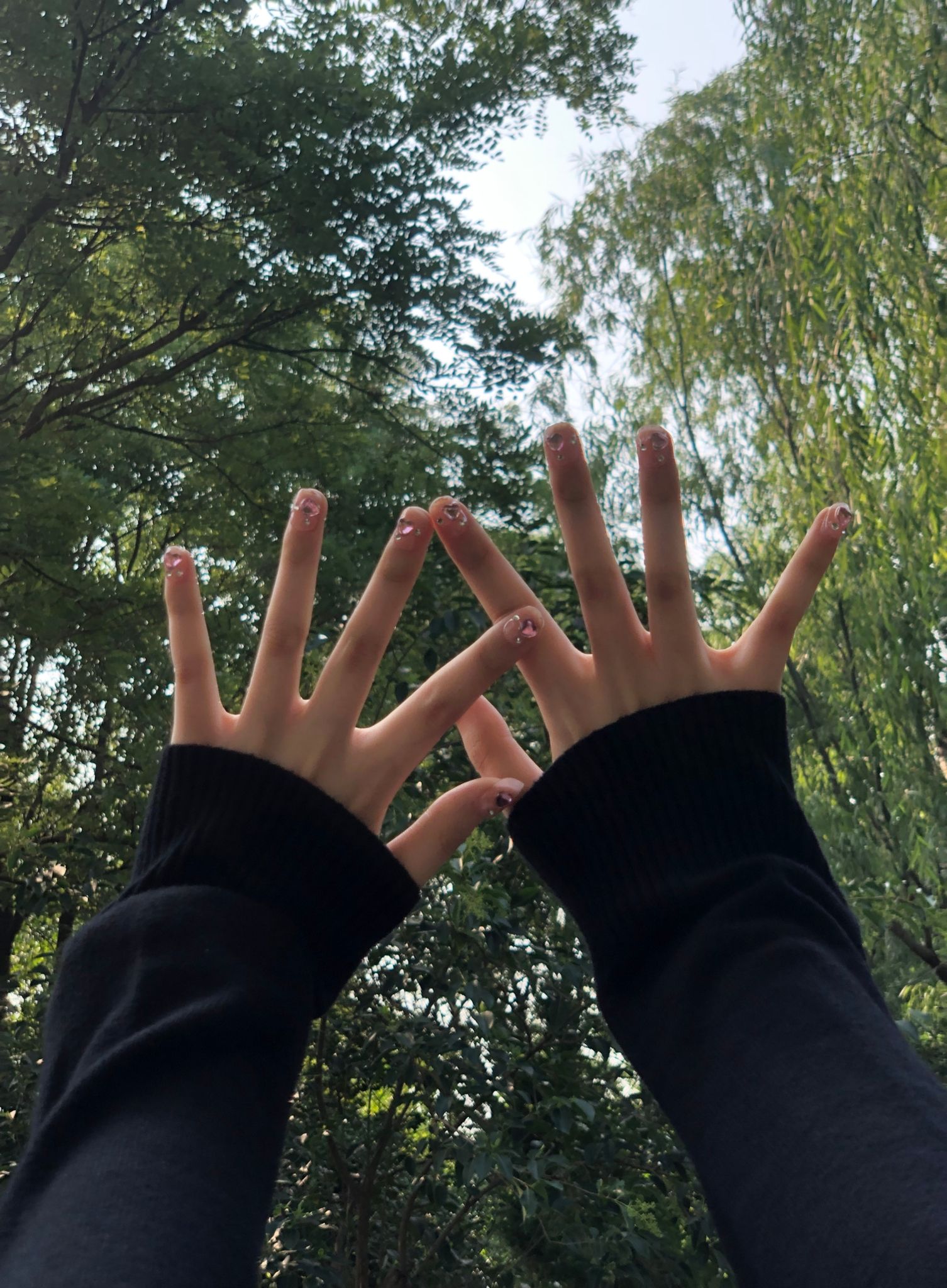 西池公园旅行图片 1