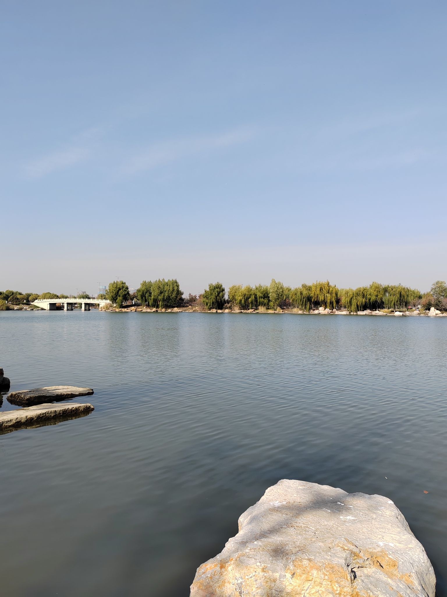 西池公园旅行图片 3