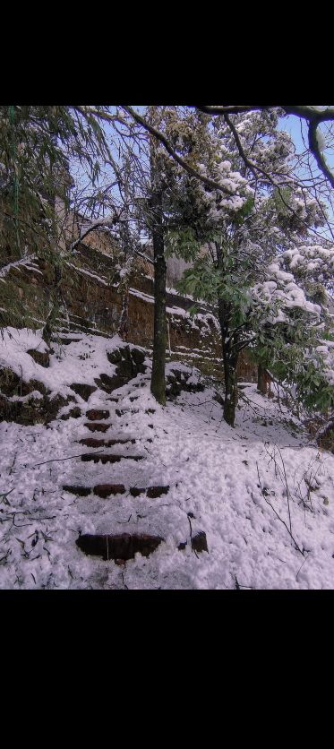 泸溪县天桥山省级自然保护区旅行图片 1