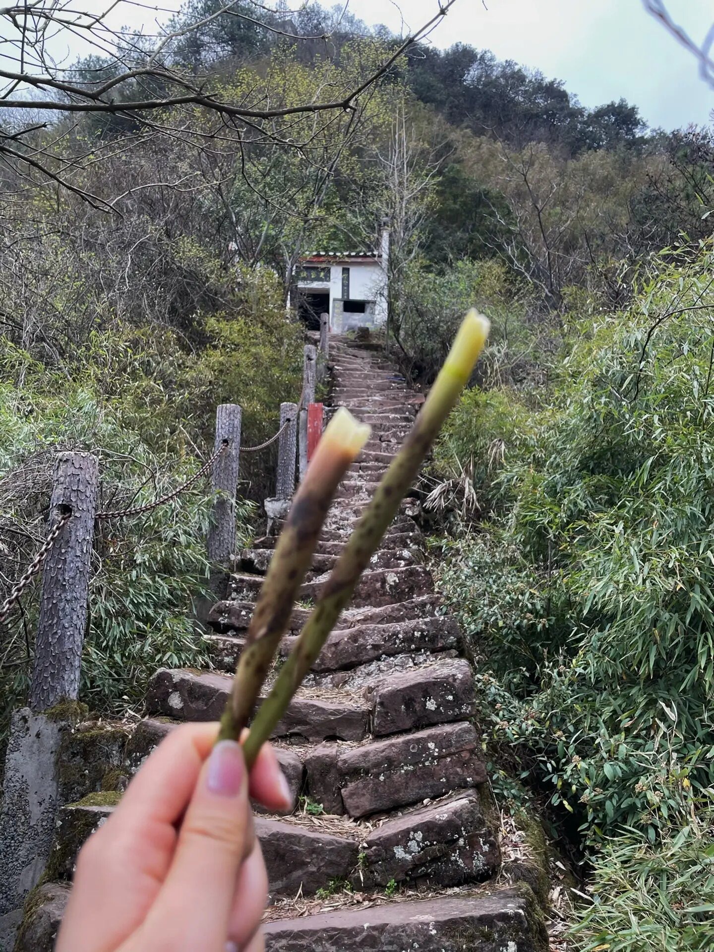 泸溪县天桥山省级自然保护区旅行图片 3