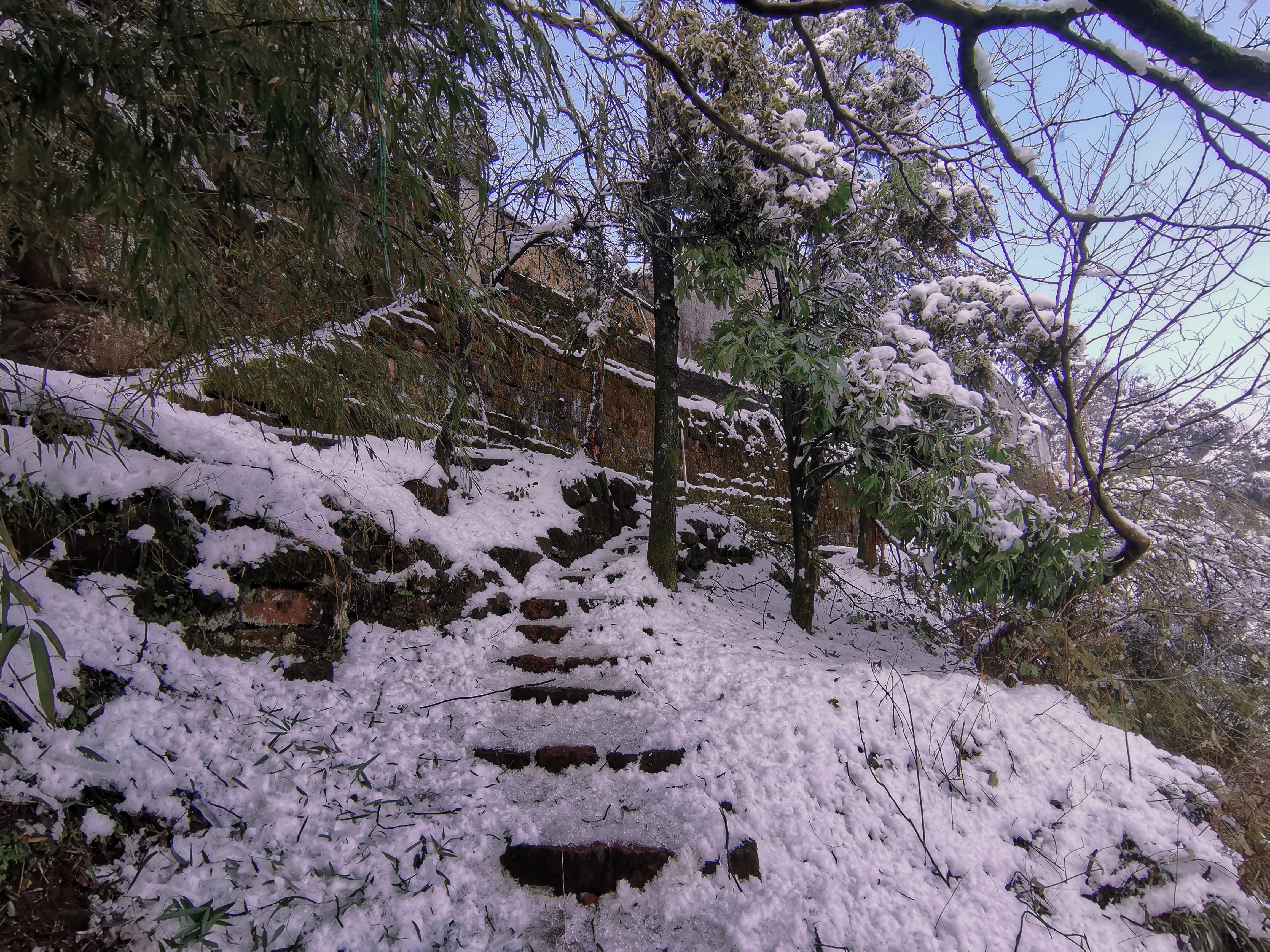 泸溪县天桥山省级自然保护区旅行图片 1