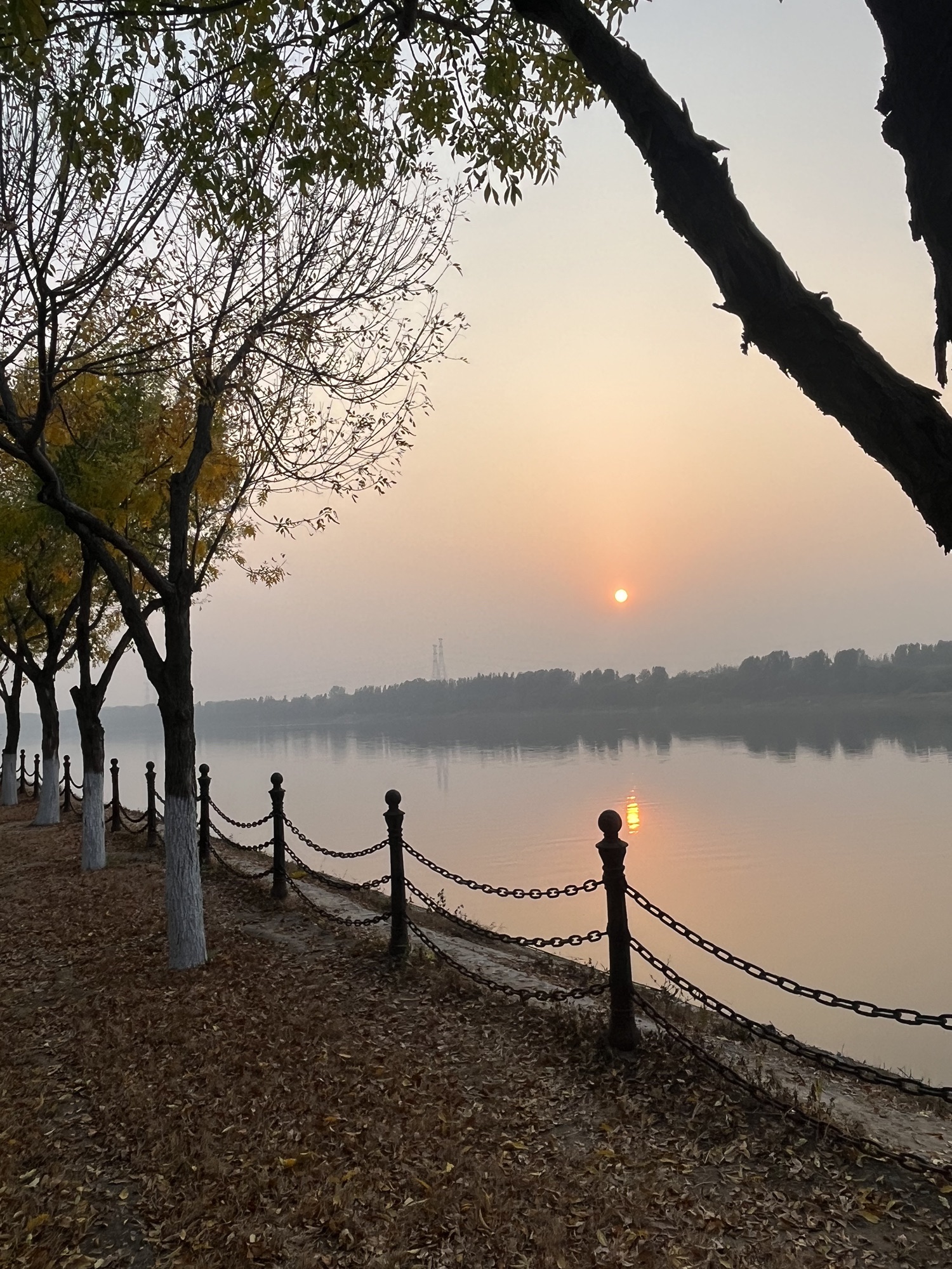 潮白河燕郊公园旅行图片 2