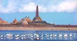 东营市天鹅湖蓄滞洪湿地东广场旅行图片 2